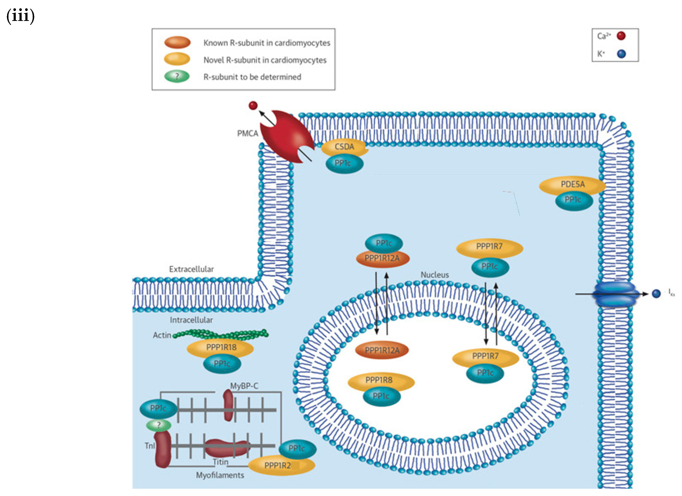 Bioengineering 12 00149 g001b