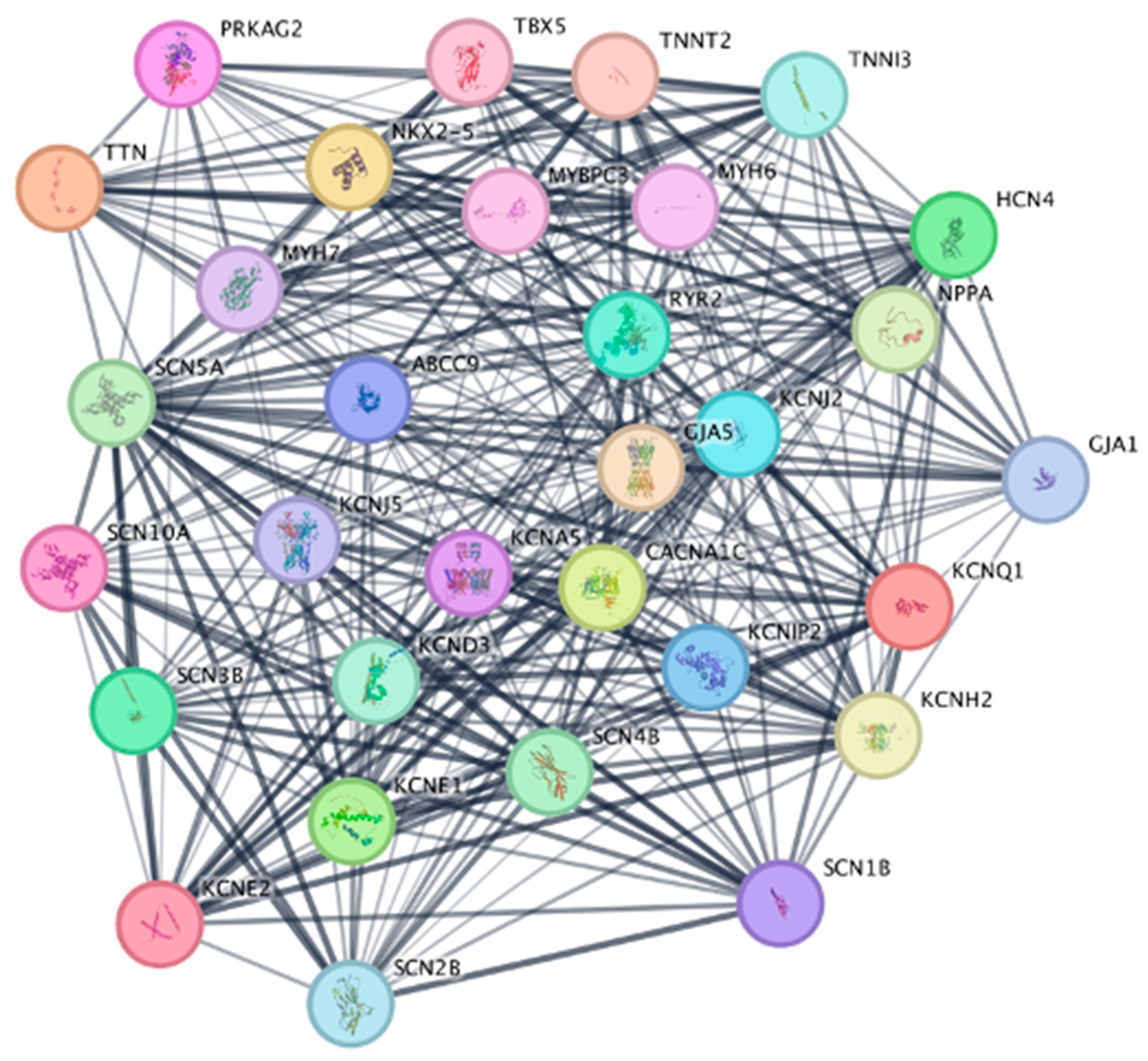 Bioengineering 12 00149 g003