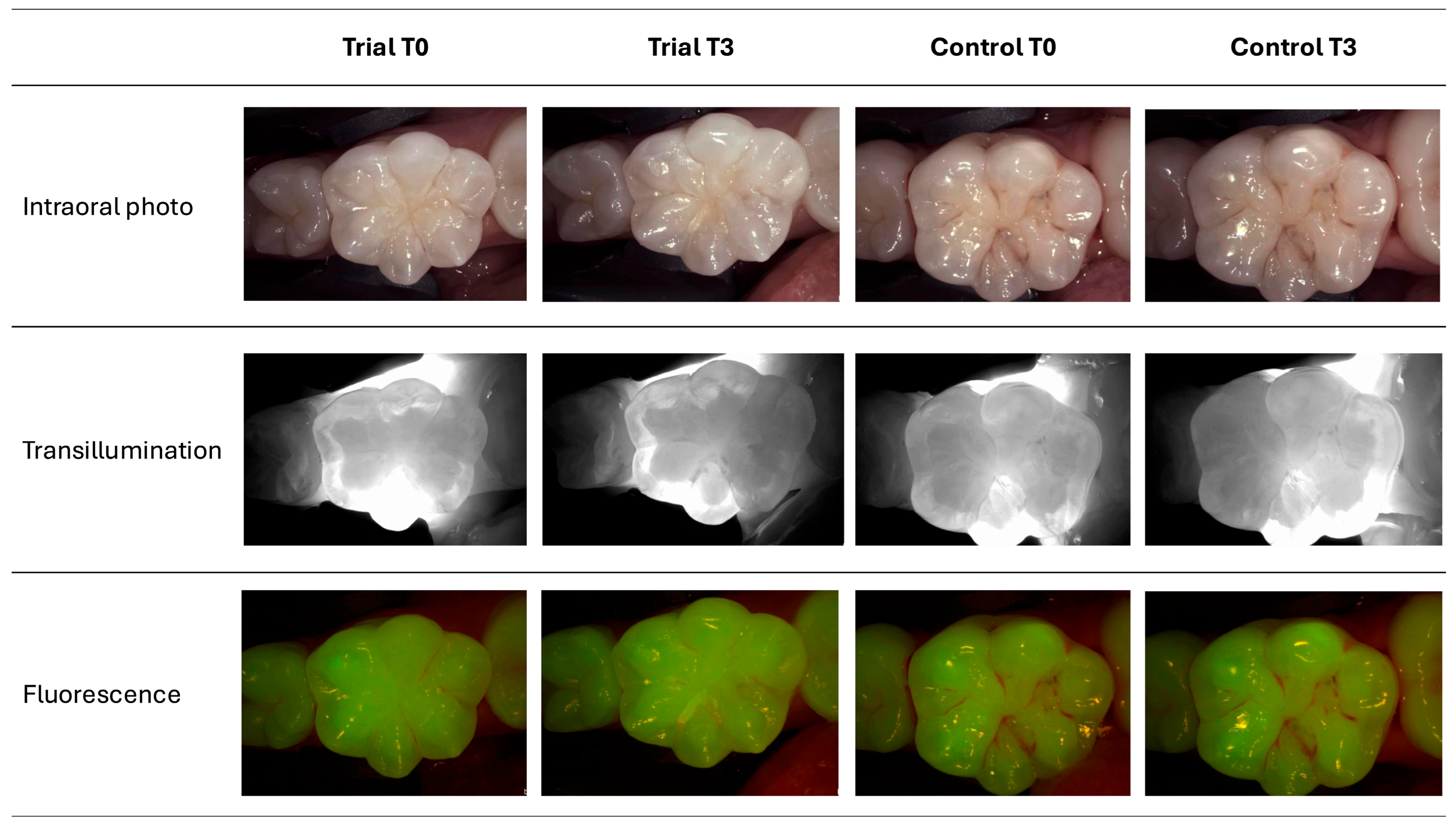 Bioengineering 12 00152 g002