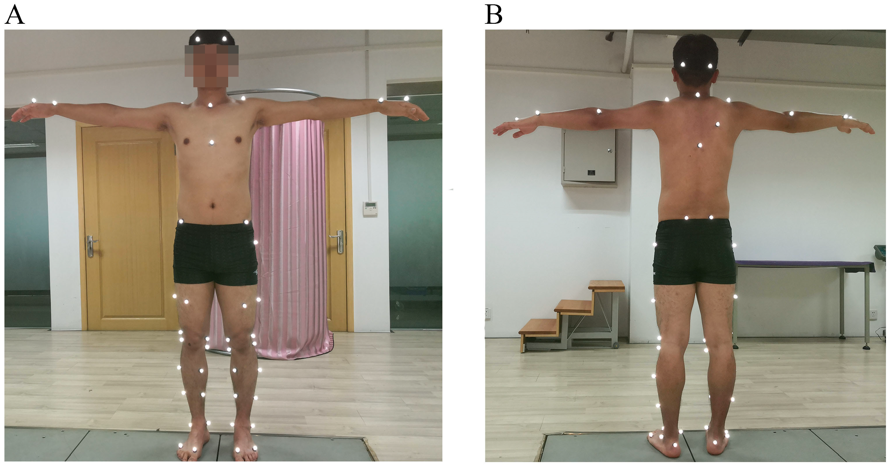 Bioengineering 12 00153 g001 Bioengineering 12 00153 g001