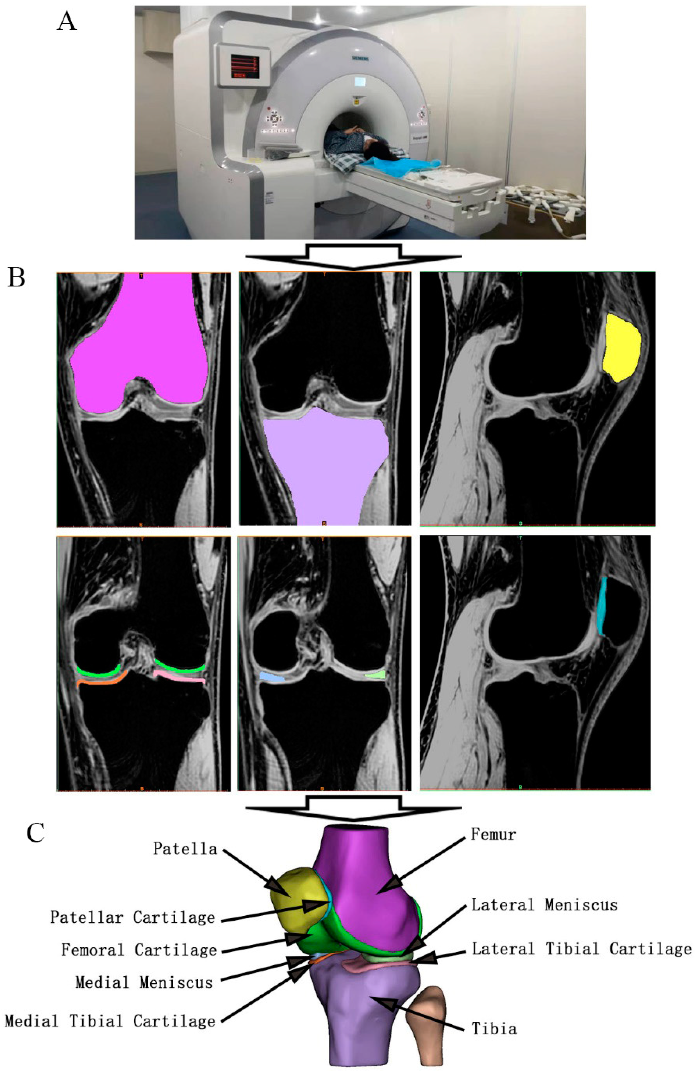Bioengineering 12 00153 g002 Bioengineering 12 00153 g002