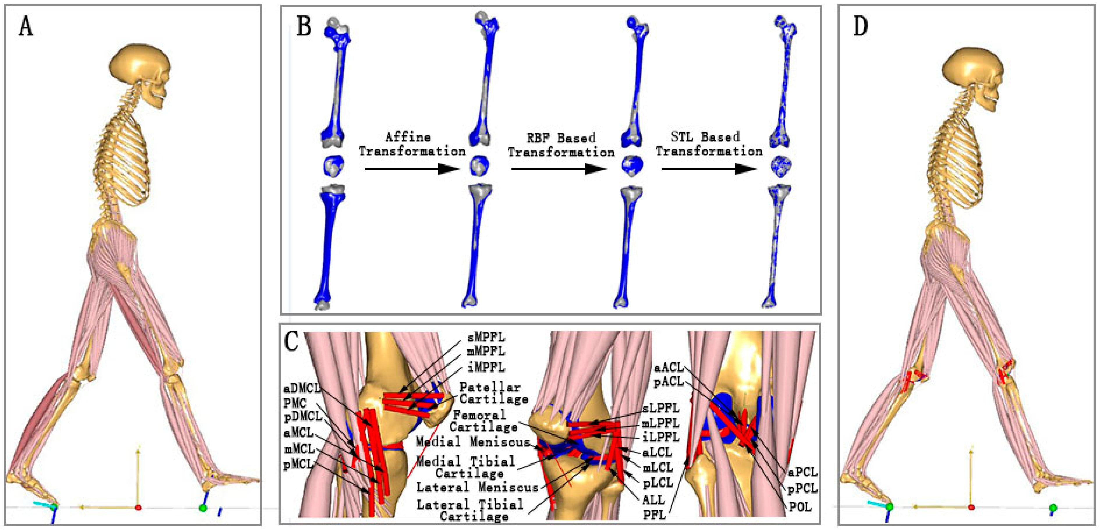 Bioengineering 12 00153 g003 Bioengineering 12 00153 g003