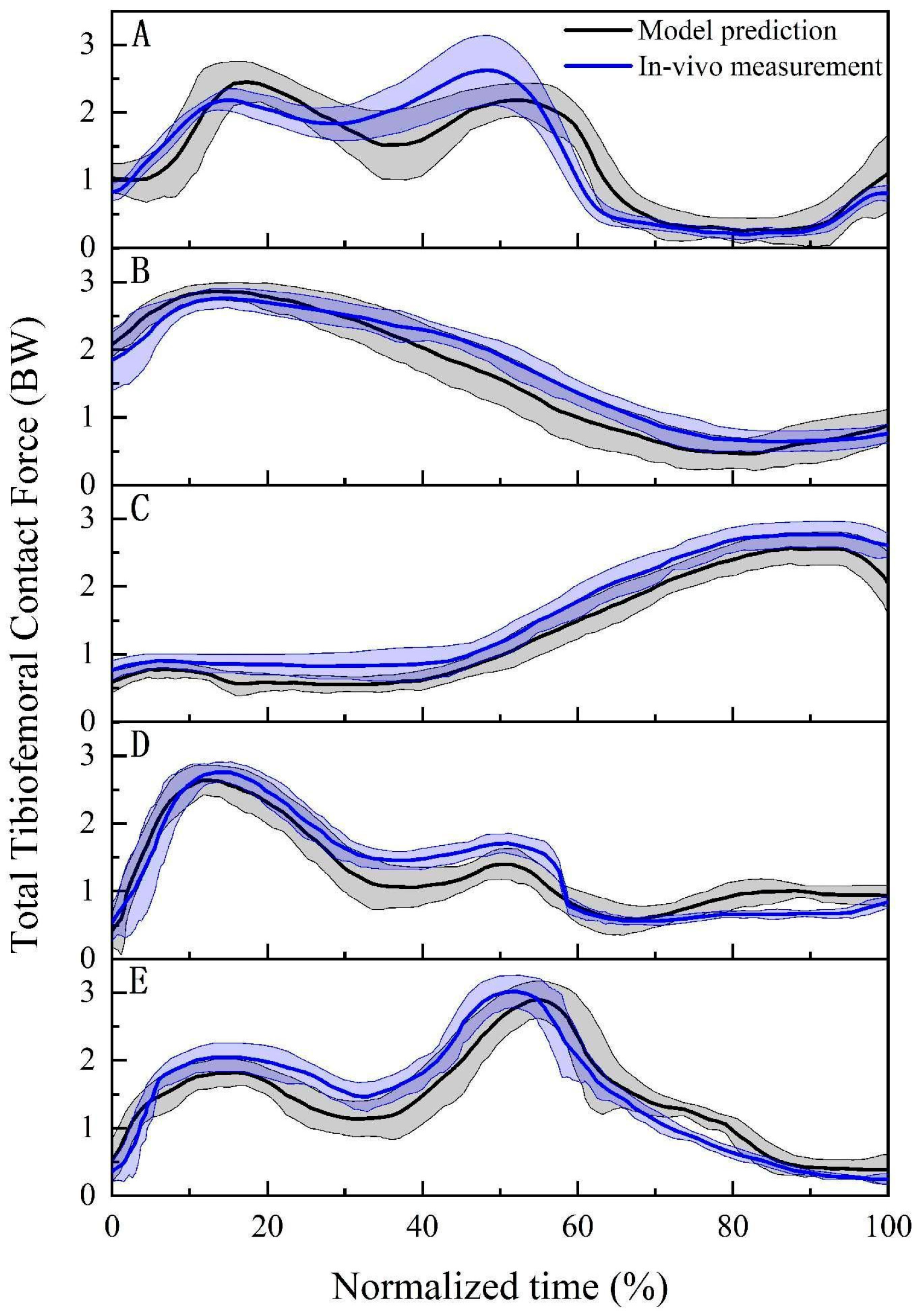 Bioengineering 12 00153 g004 Bioengineering 12 00153 g004