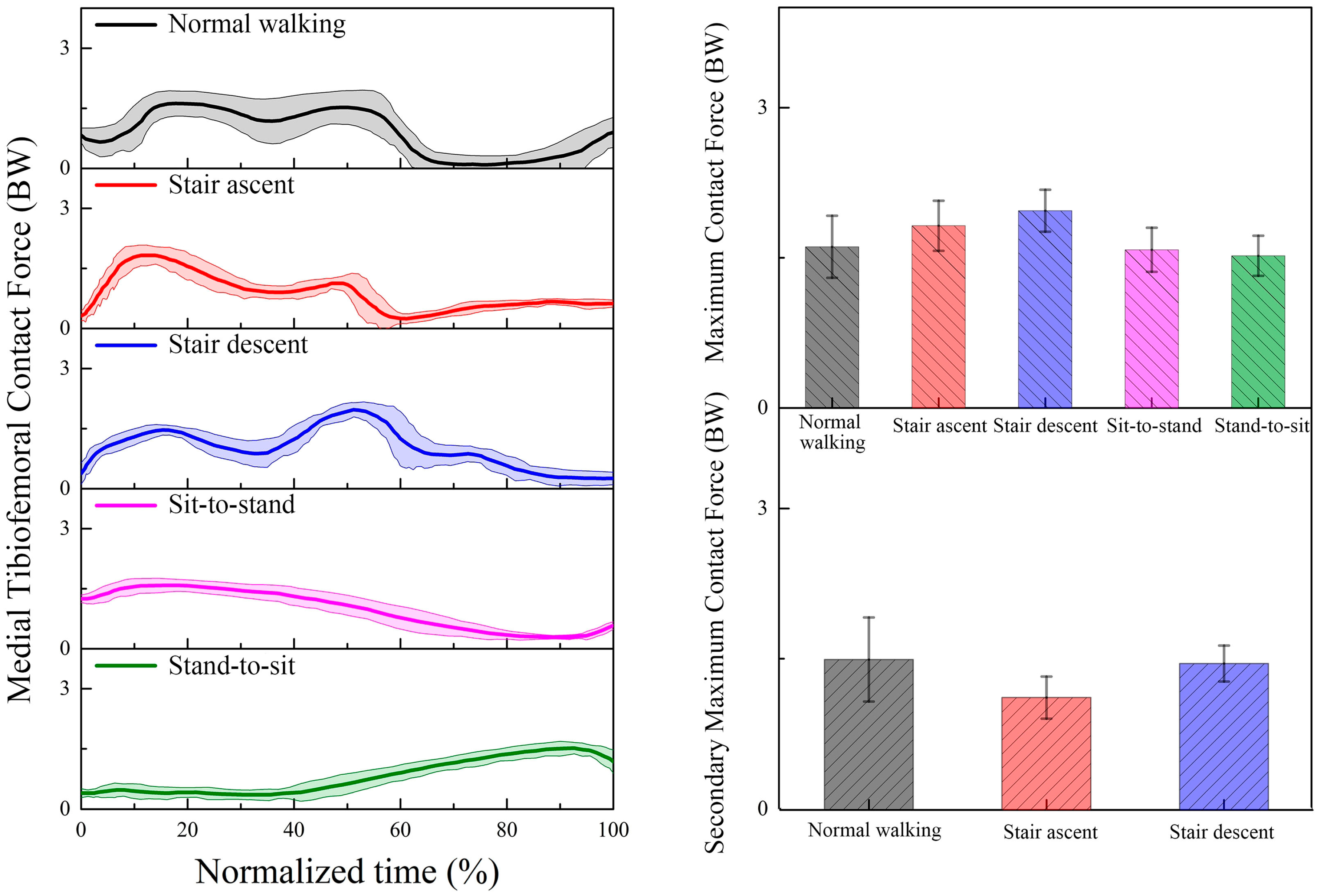Bioengineering 12 00153 g006 Bioengineering 12 00153 g006