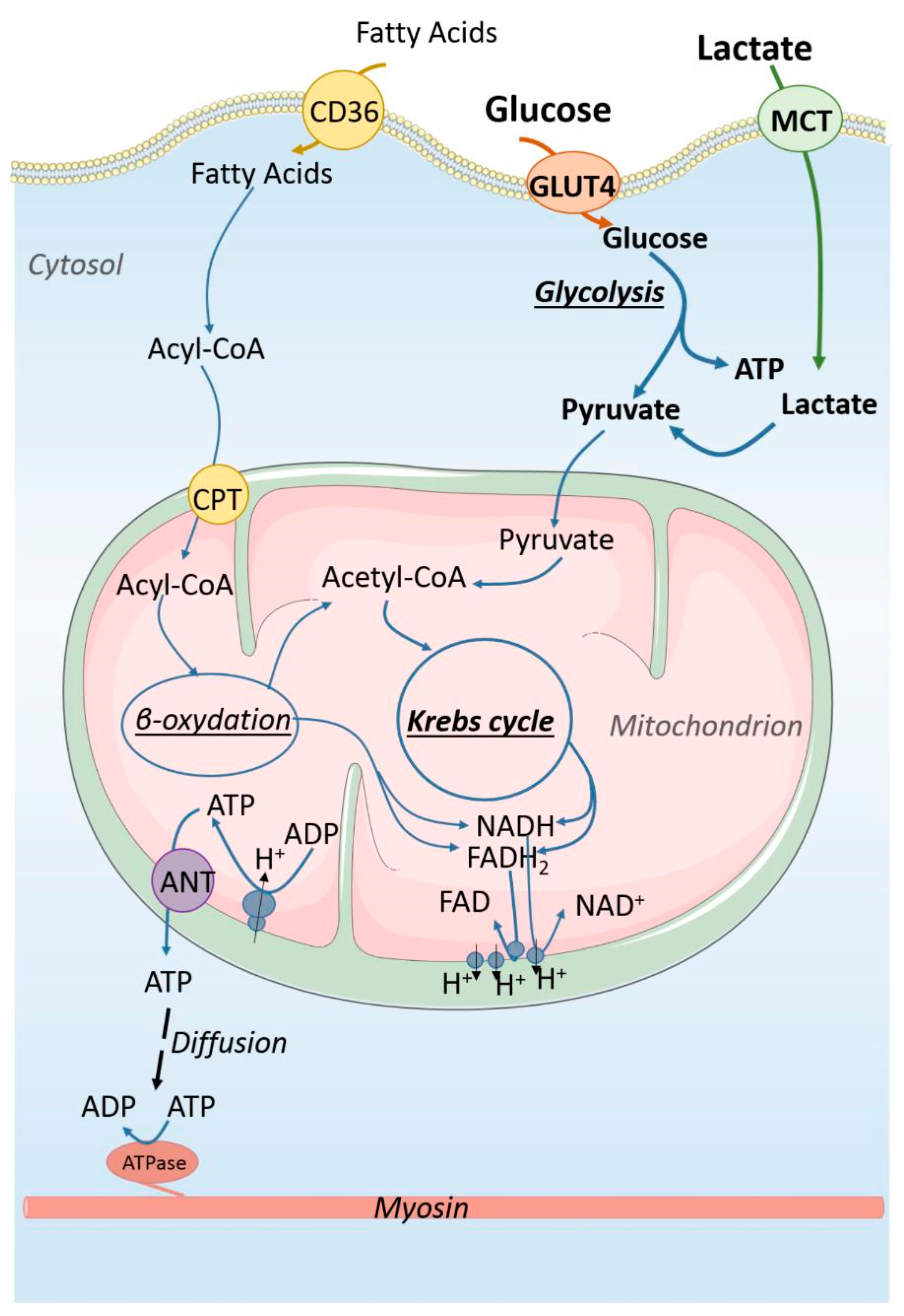 Bioengineering 12 00154 g002