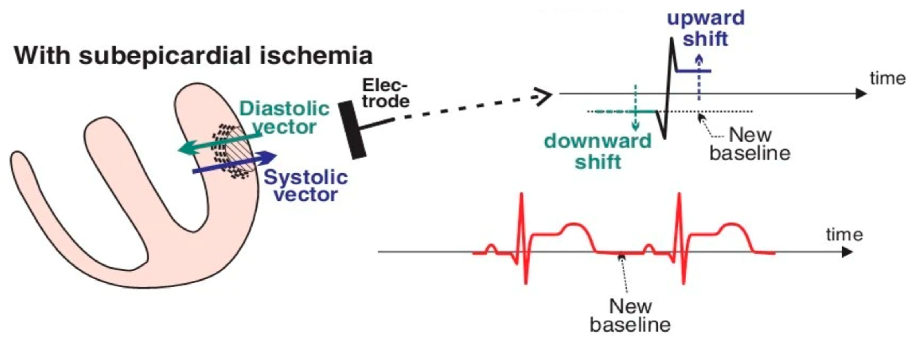 Bioengineering 12 00154 g003