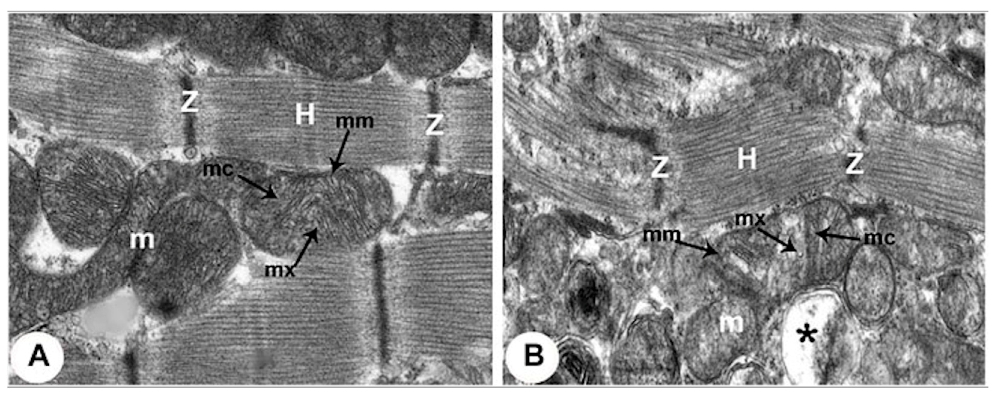 Bioengineering 12 00154 g004