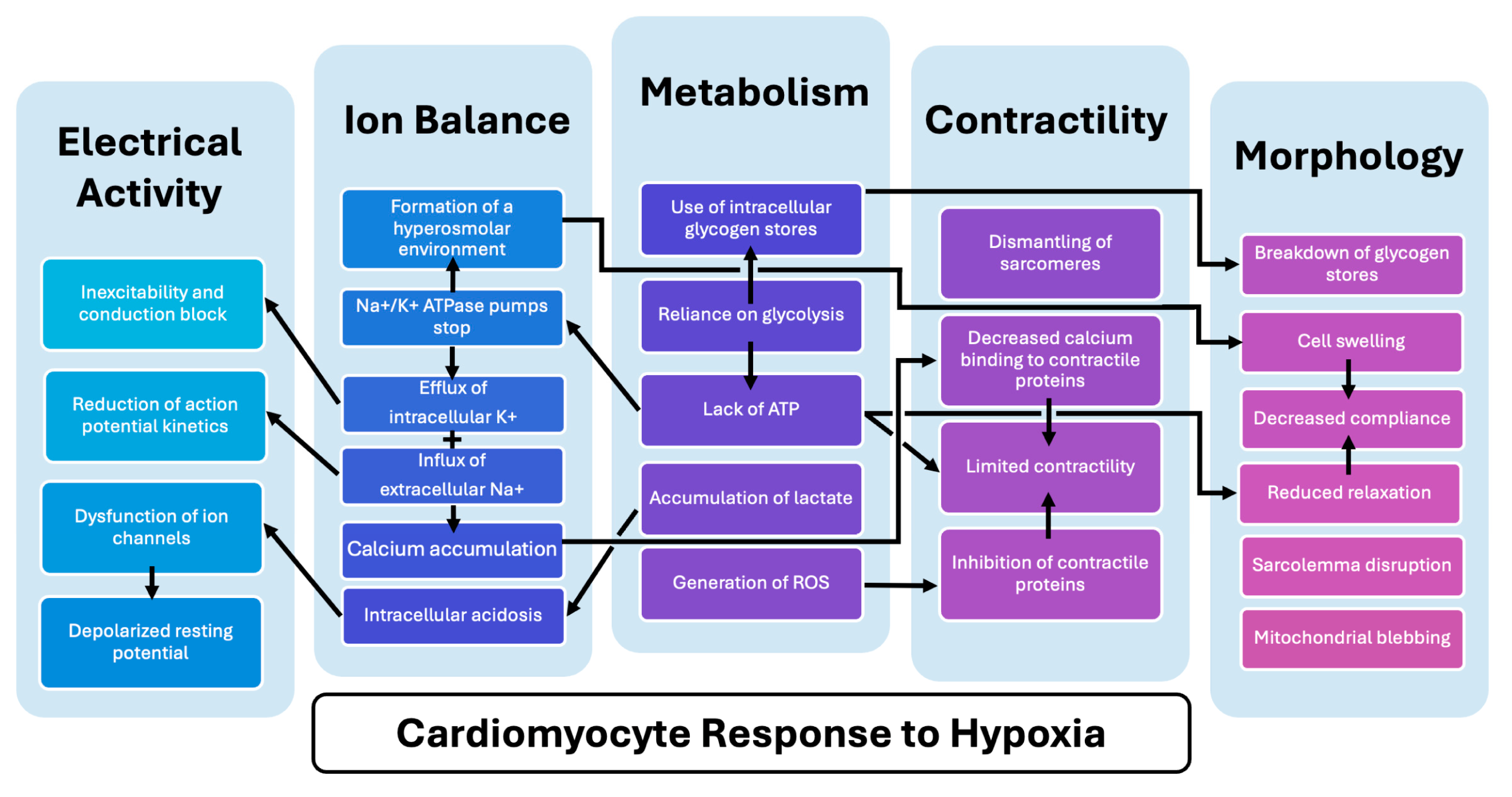 Bioengineering 12 00154 g005