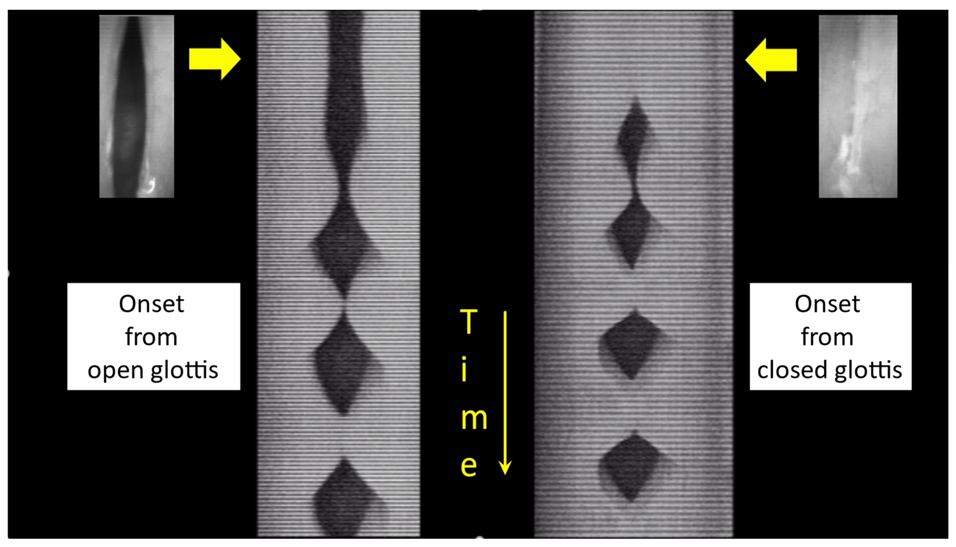 Bioengineering 12 00155 g001
