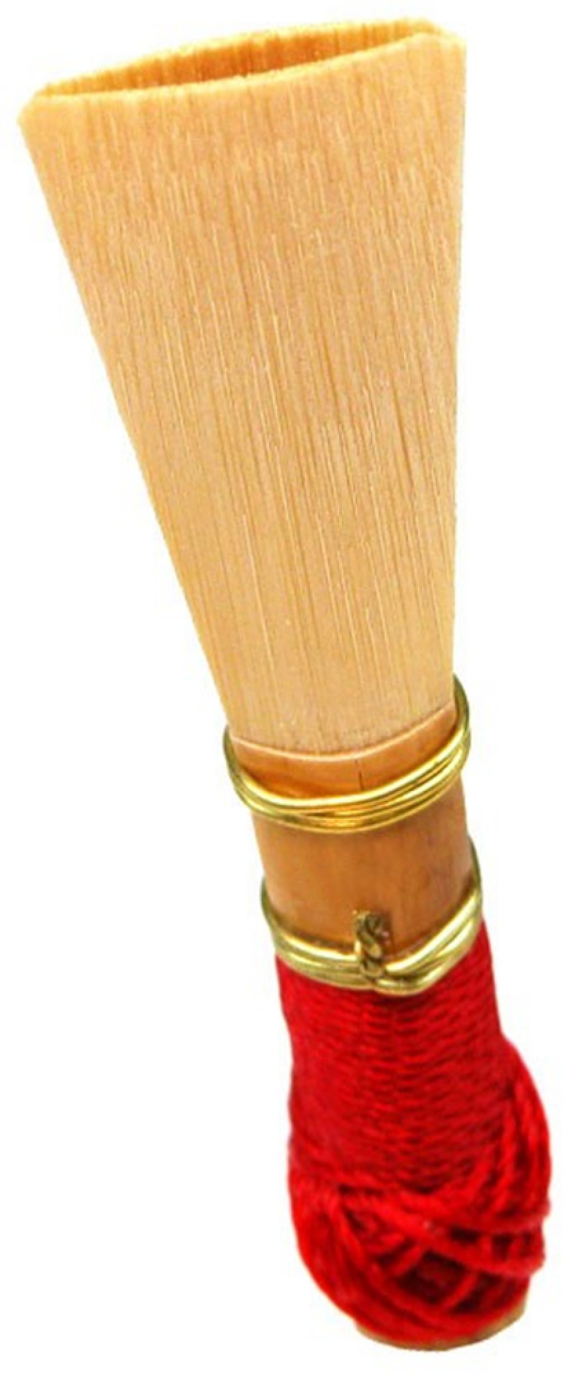 Bioengineering 12 00155 g024