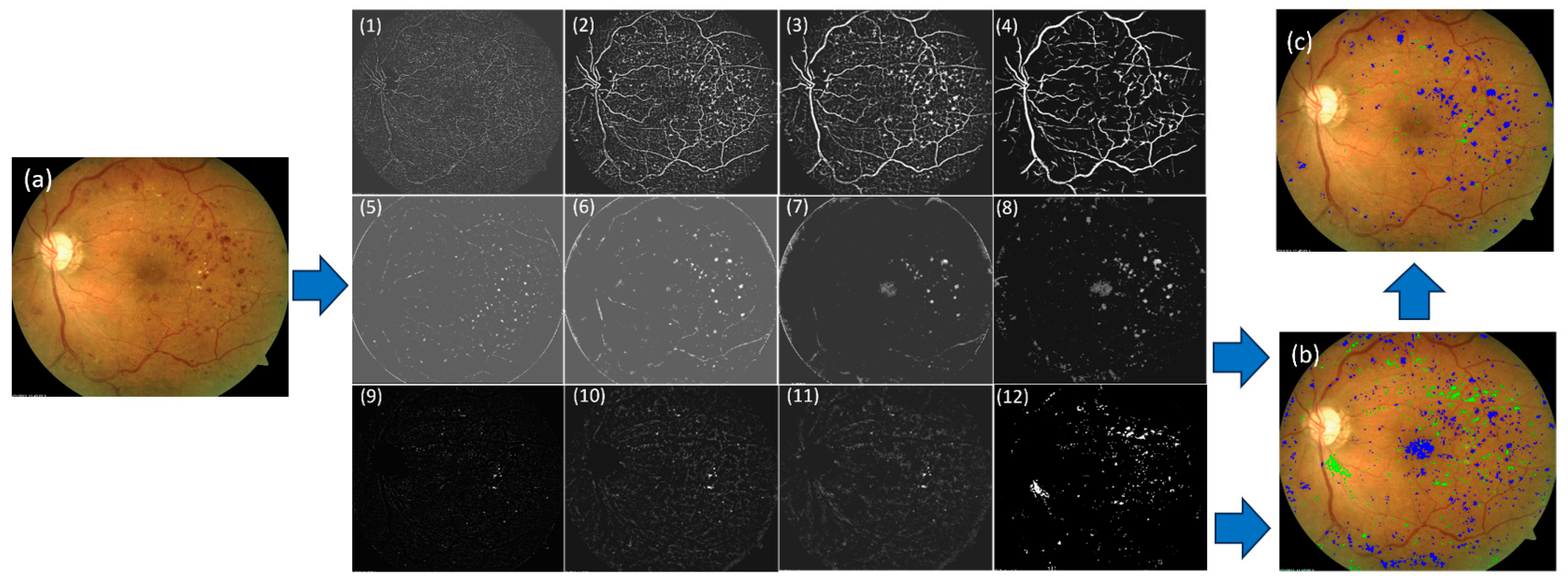 Bioengineering 12 00157 g004