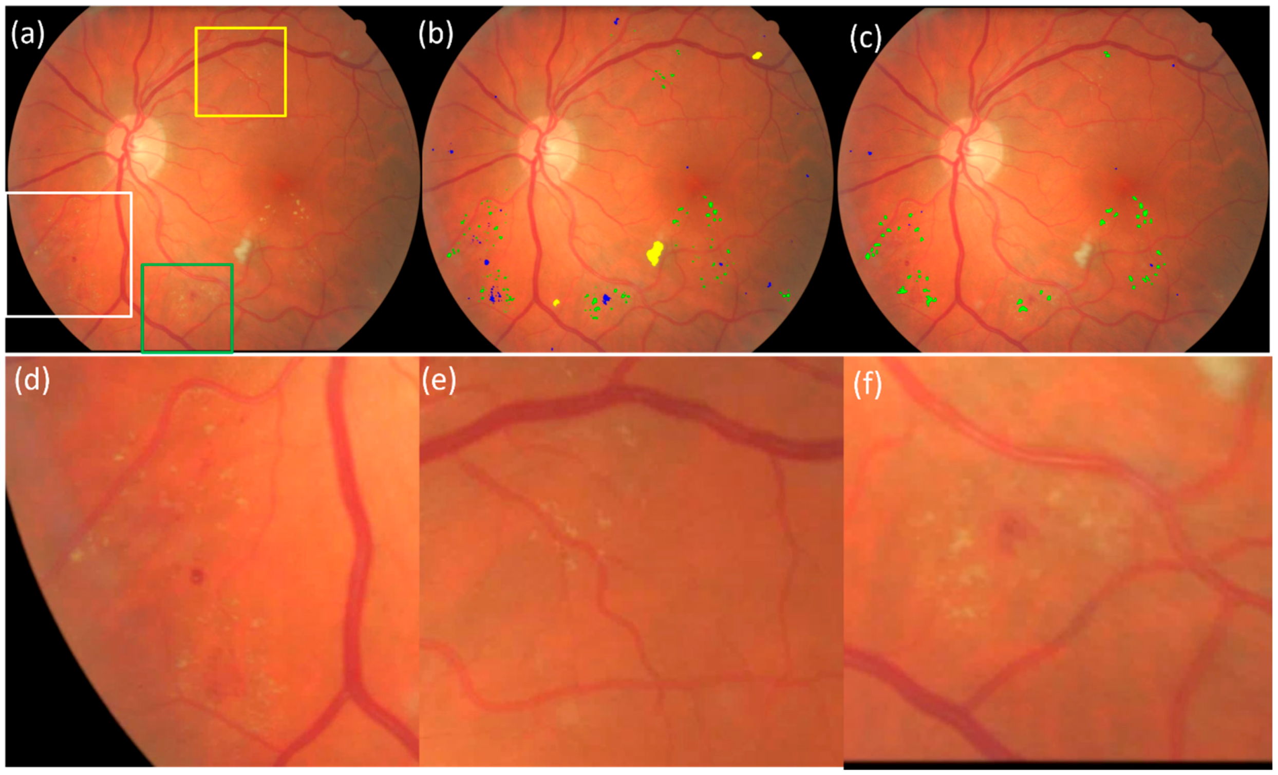 Bioengineering 12 00157 g008
