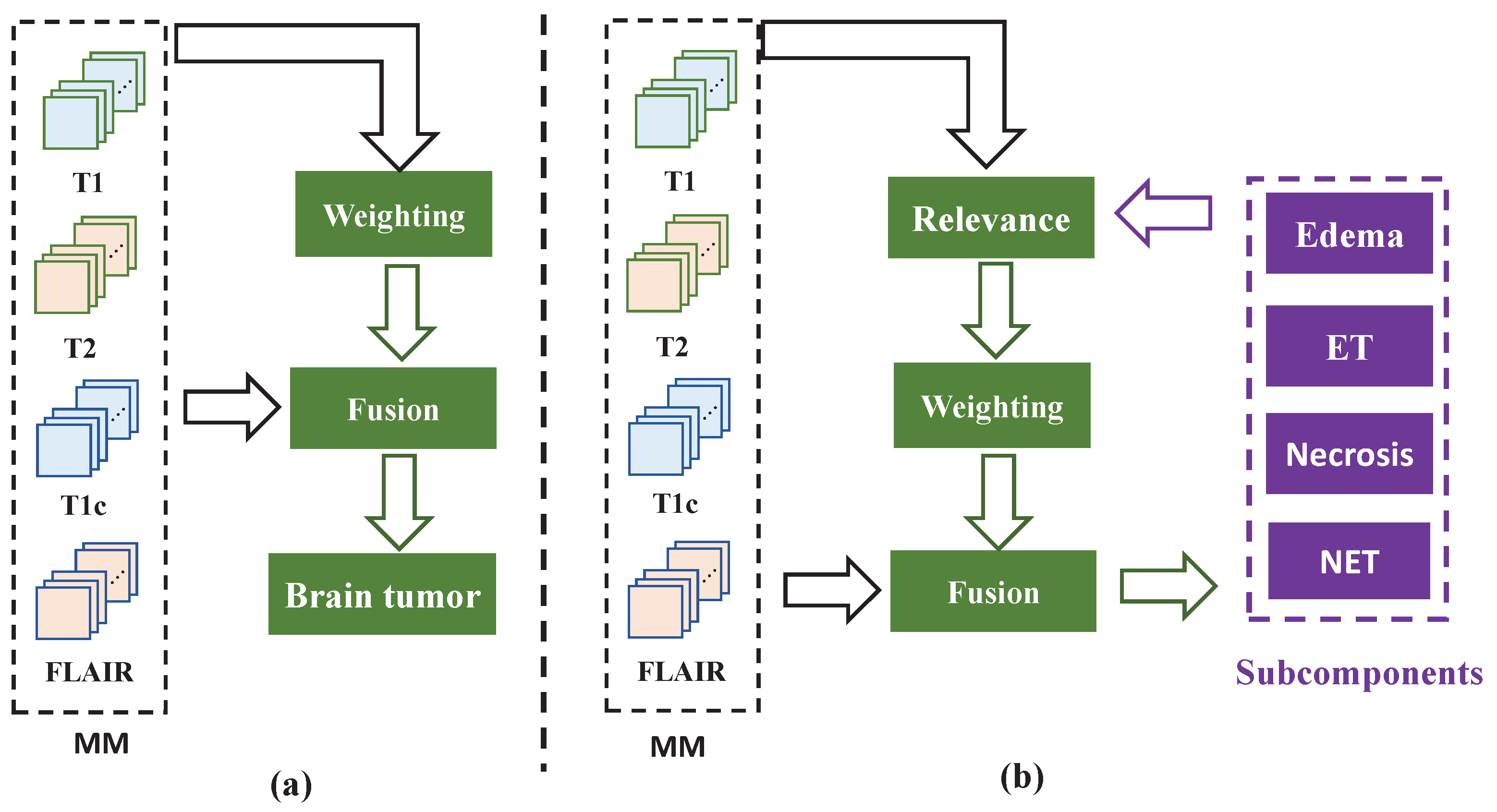 Bioengineering 12 00159 g001