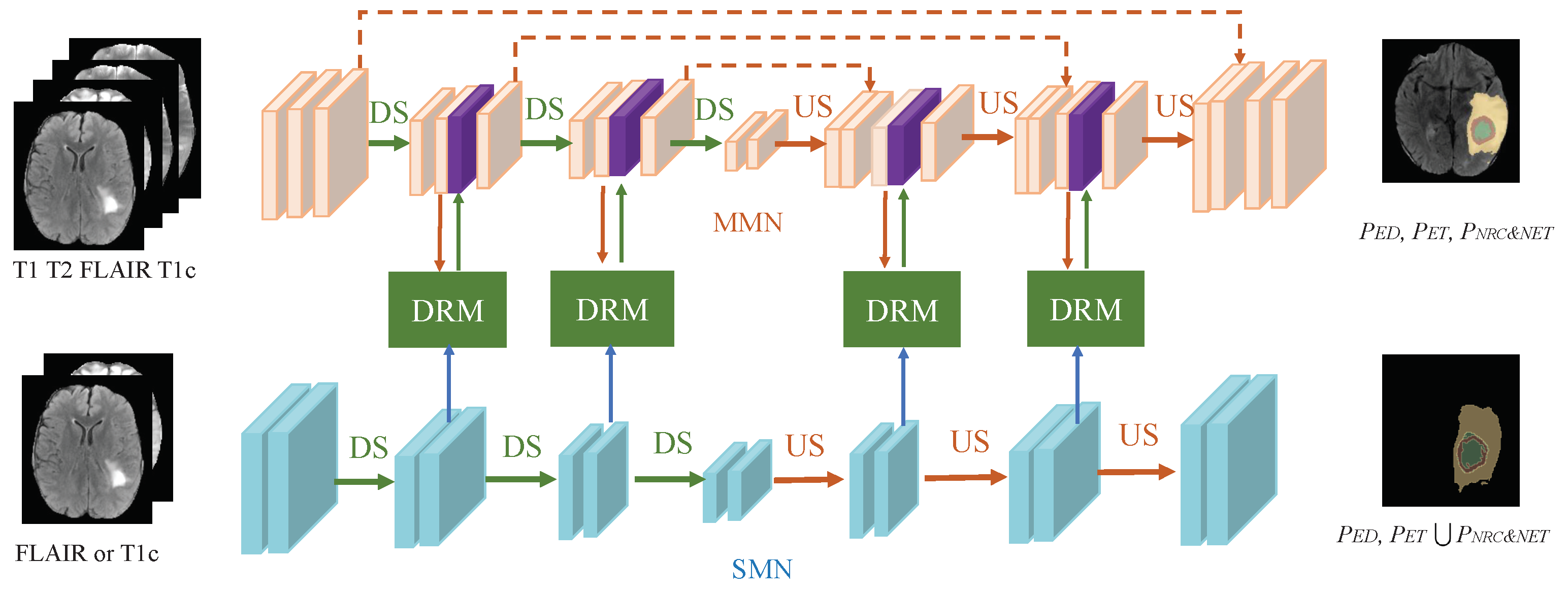 Bioengineering 12 00159 g002