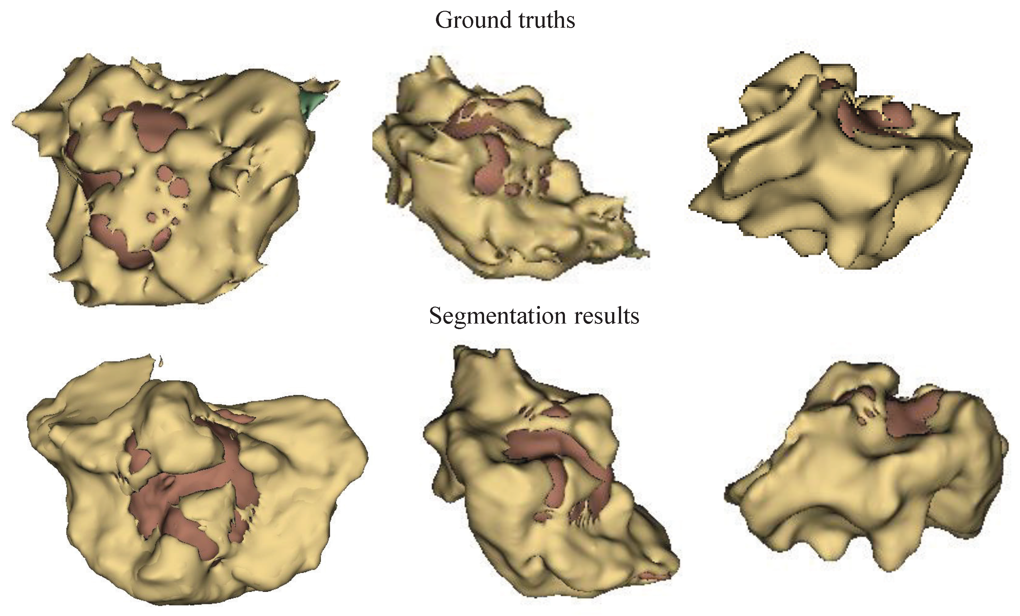 Bioengineering 12 00159 g007