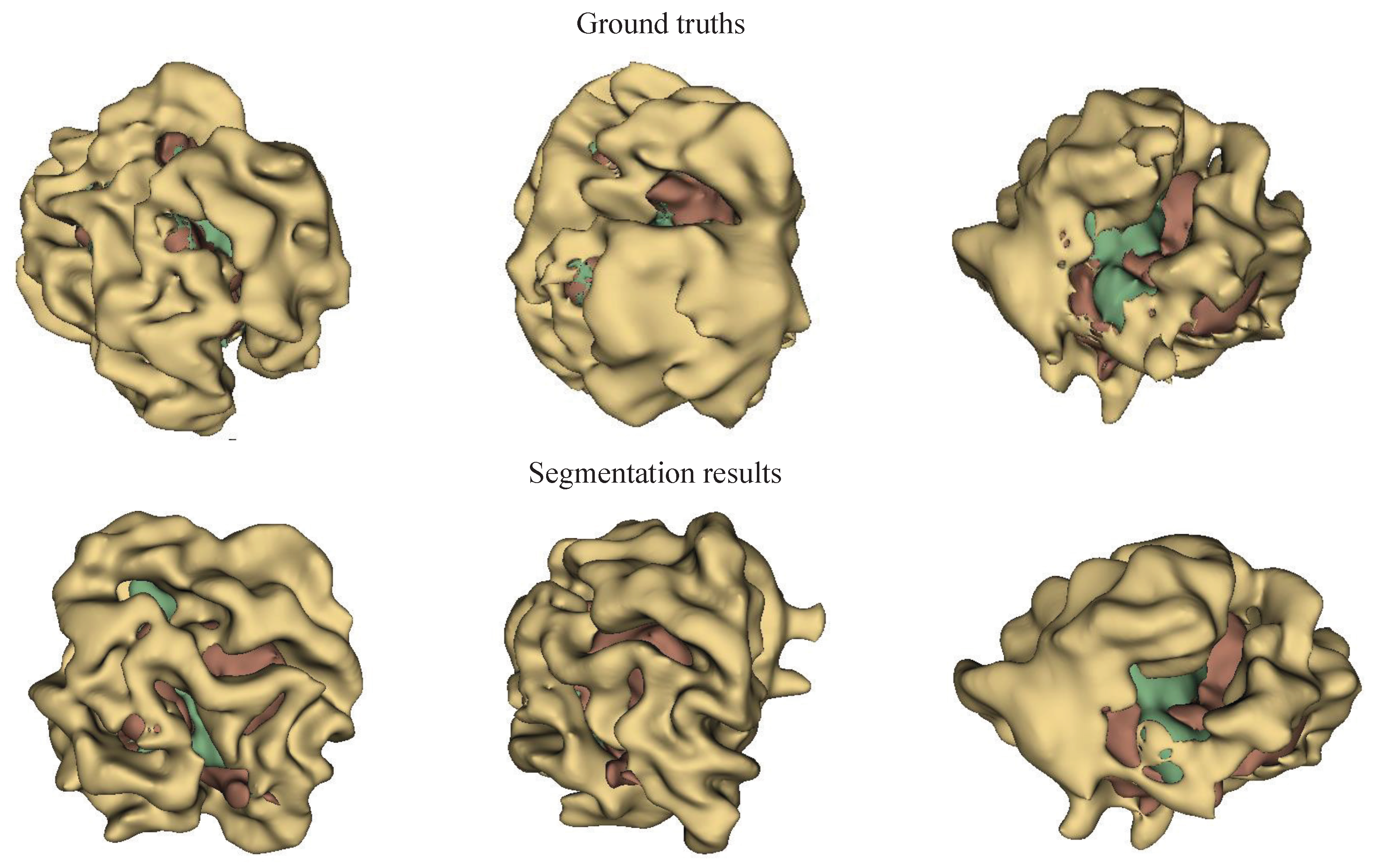 Bioengineering 12 00159 g009