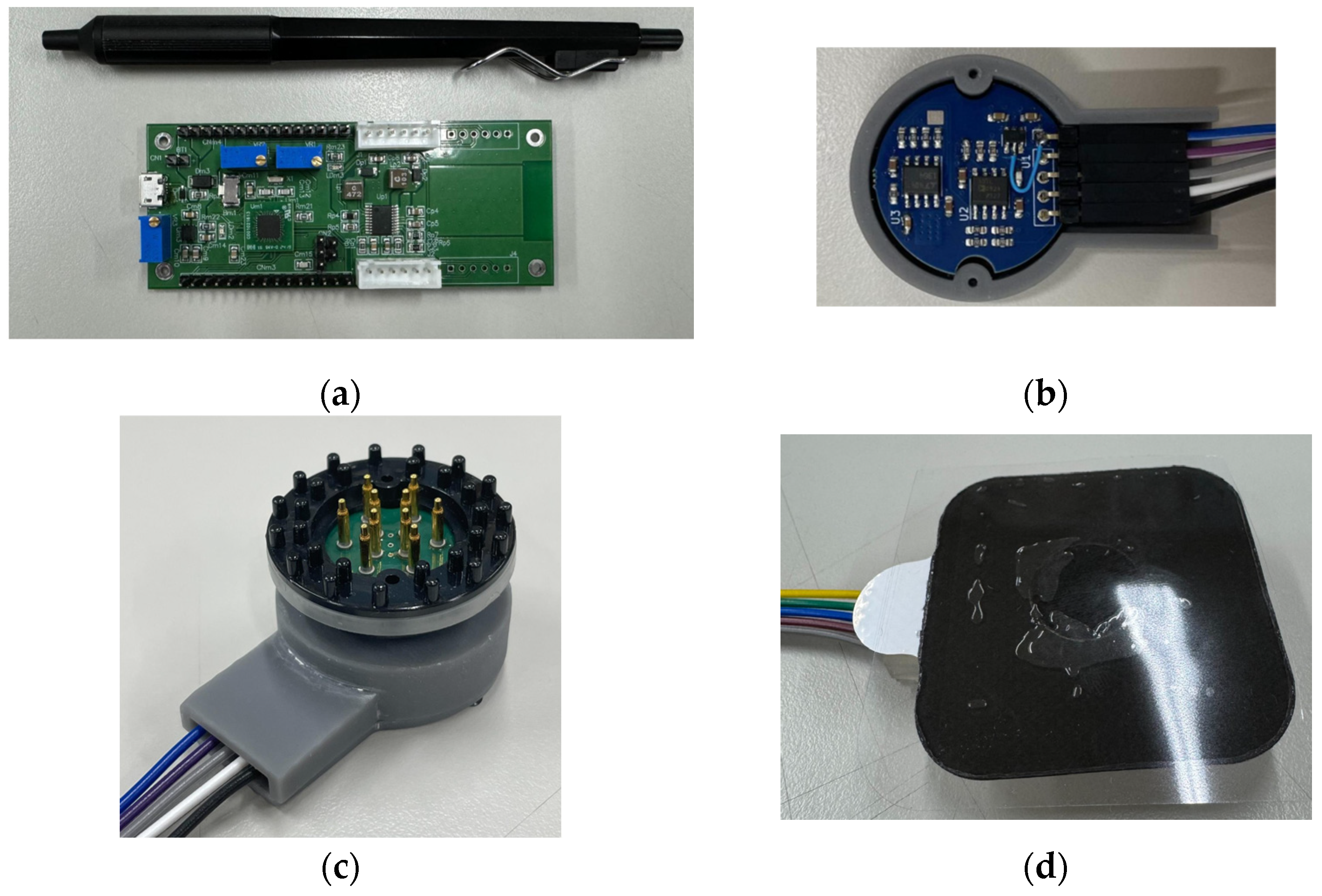 Bioengineering 12 00164 g002