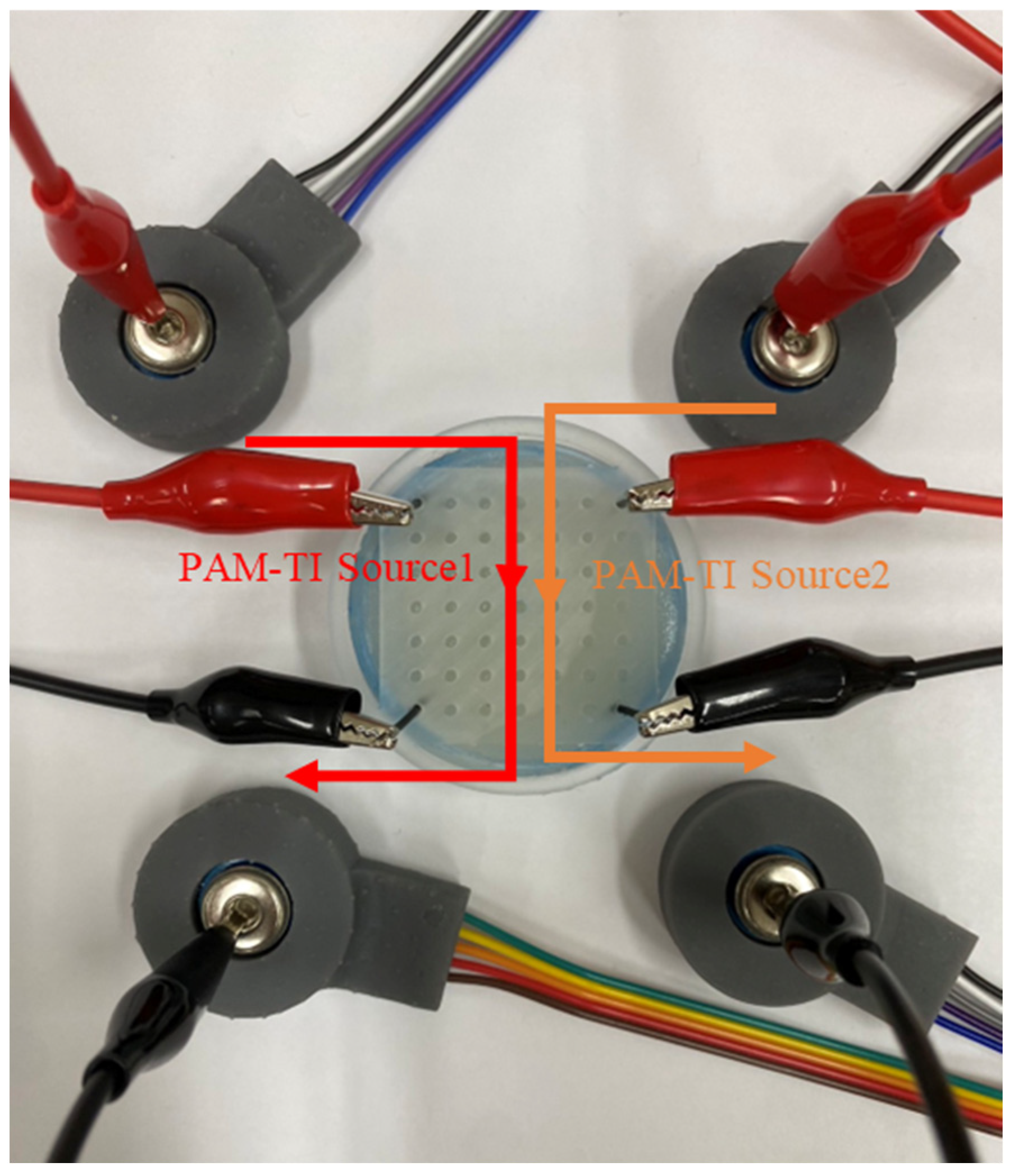 Bioengineering 12 00164 g010