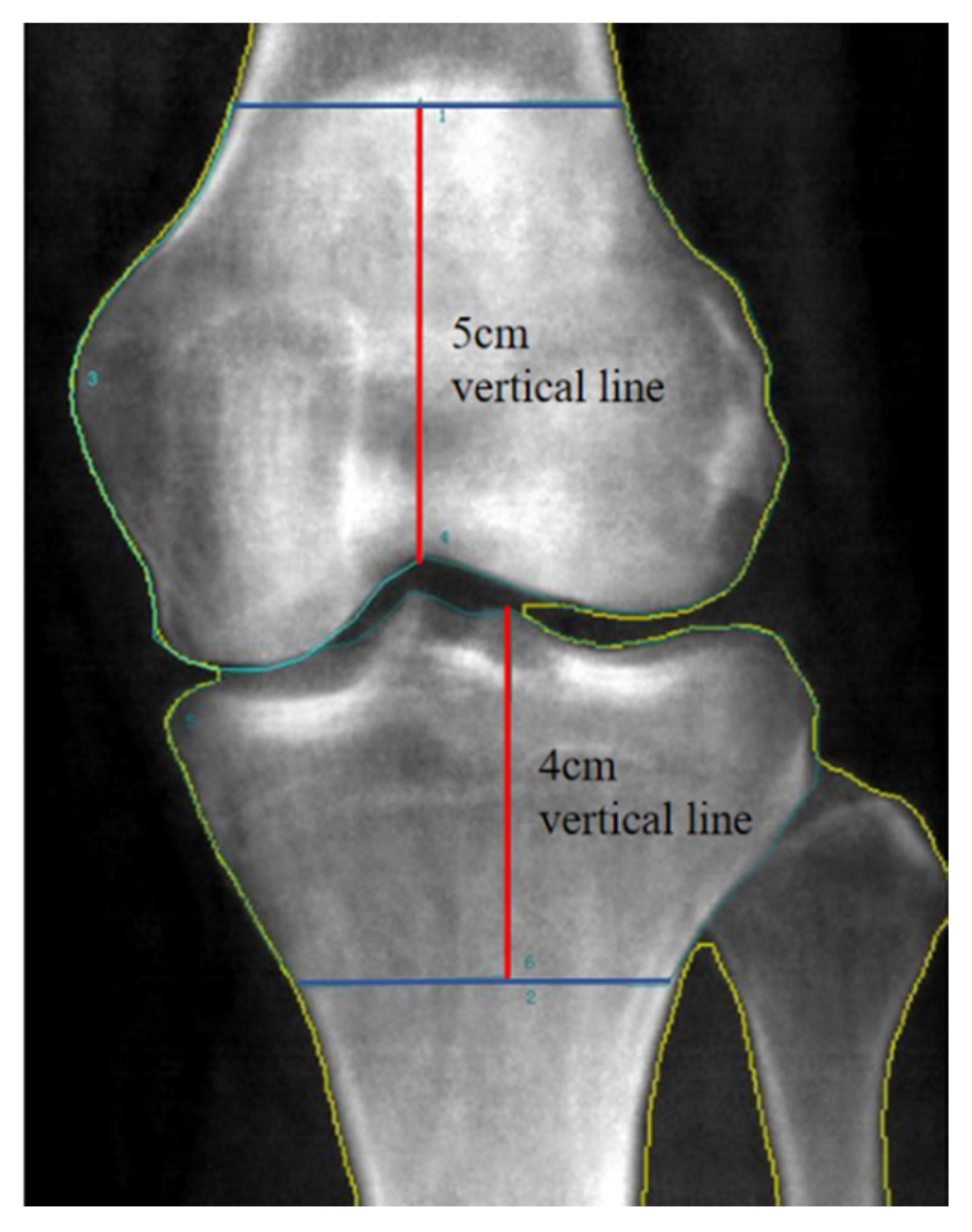 Bioengineering 12 00165 g001