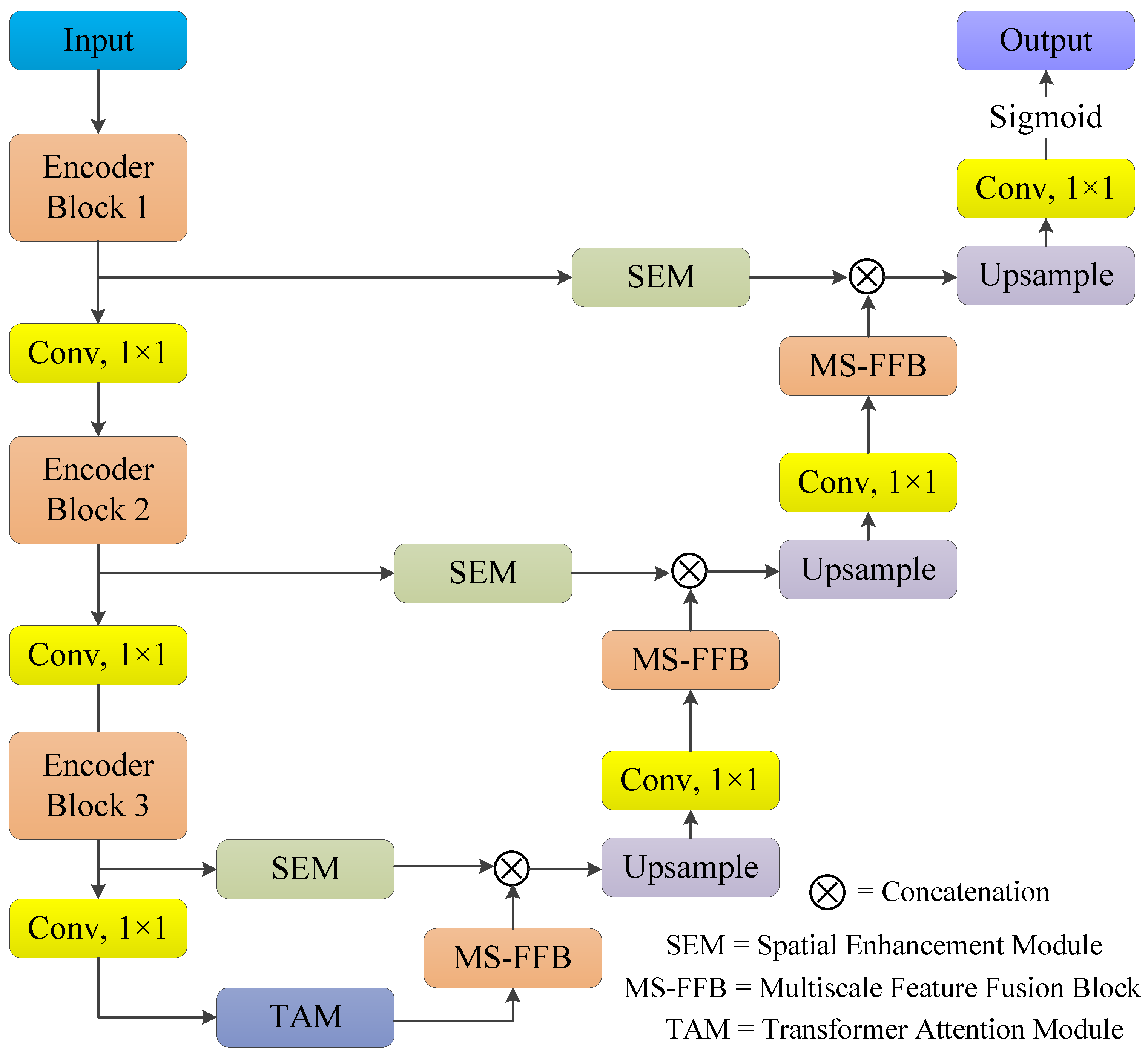 Bioengineering 12 00167 g001