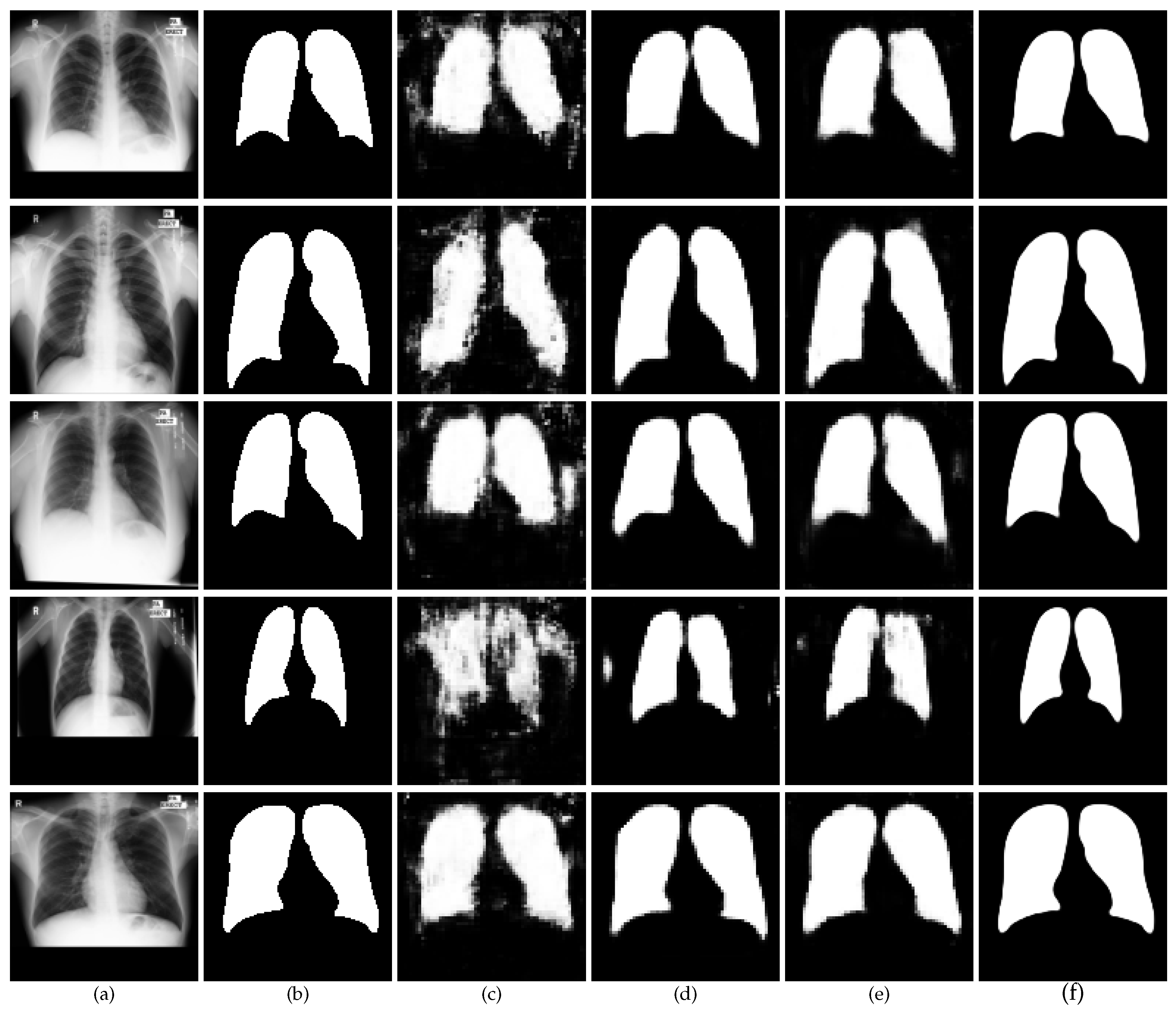 Bioengineering 12 00167 g005