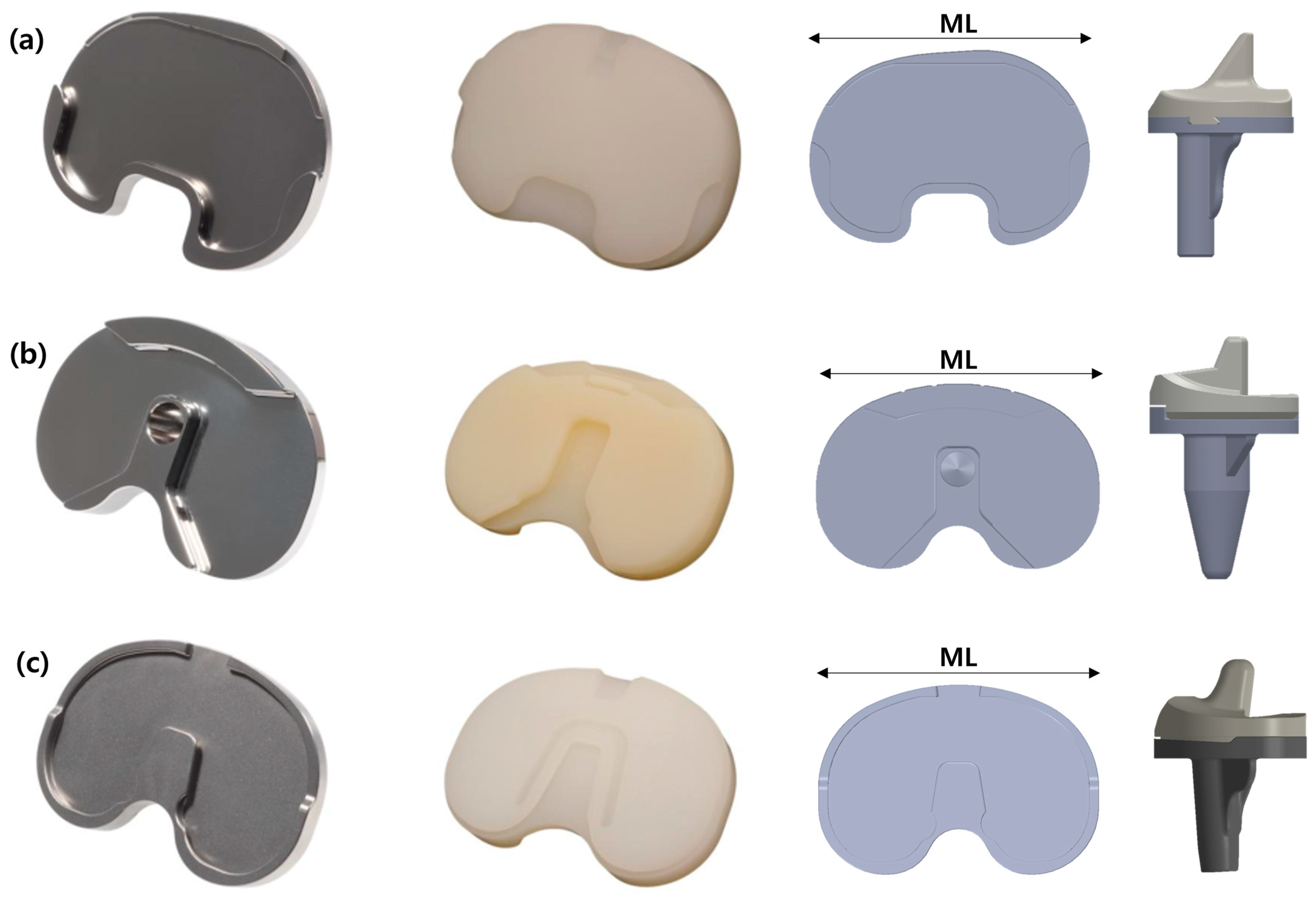 Bioengineering 12 00169 g001