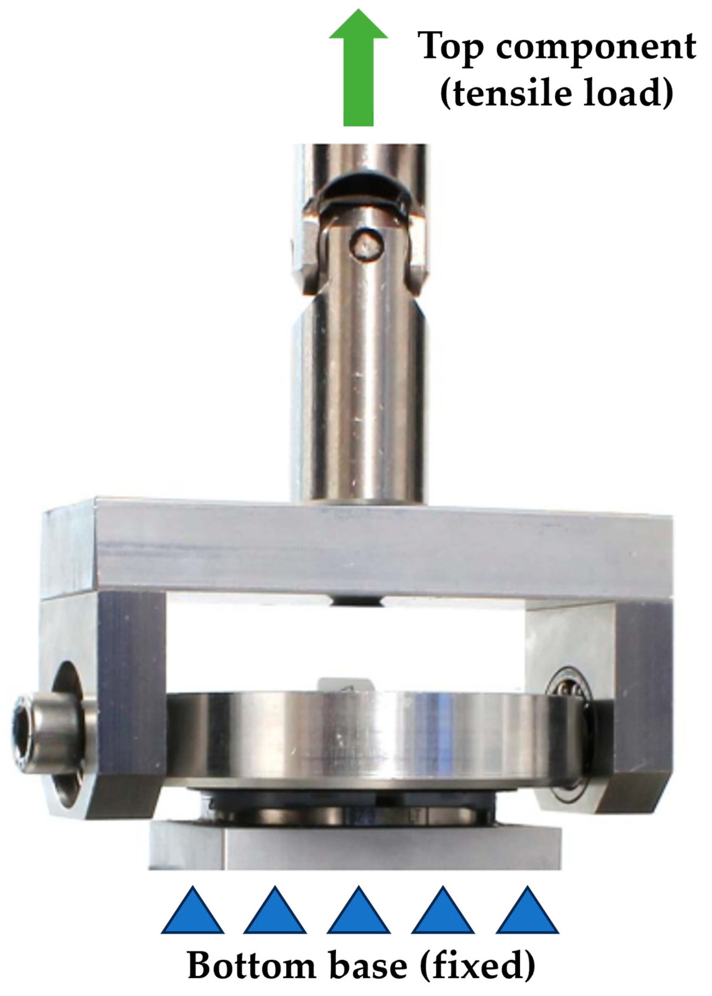 Bioengineering 12 00169 g002