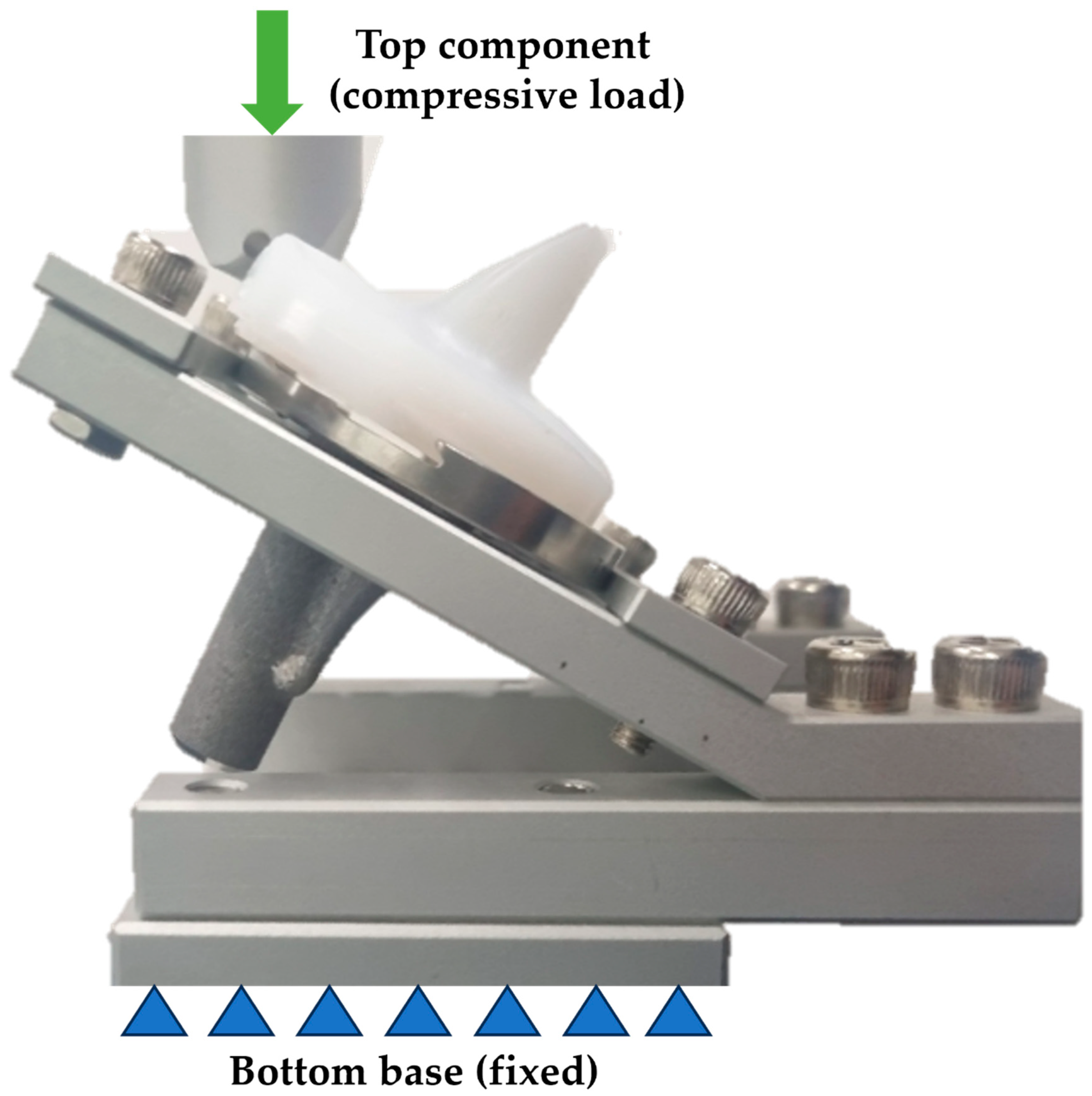 Bioengineering 12 00169 g003