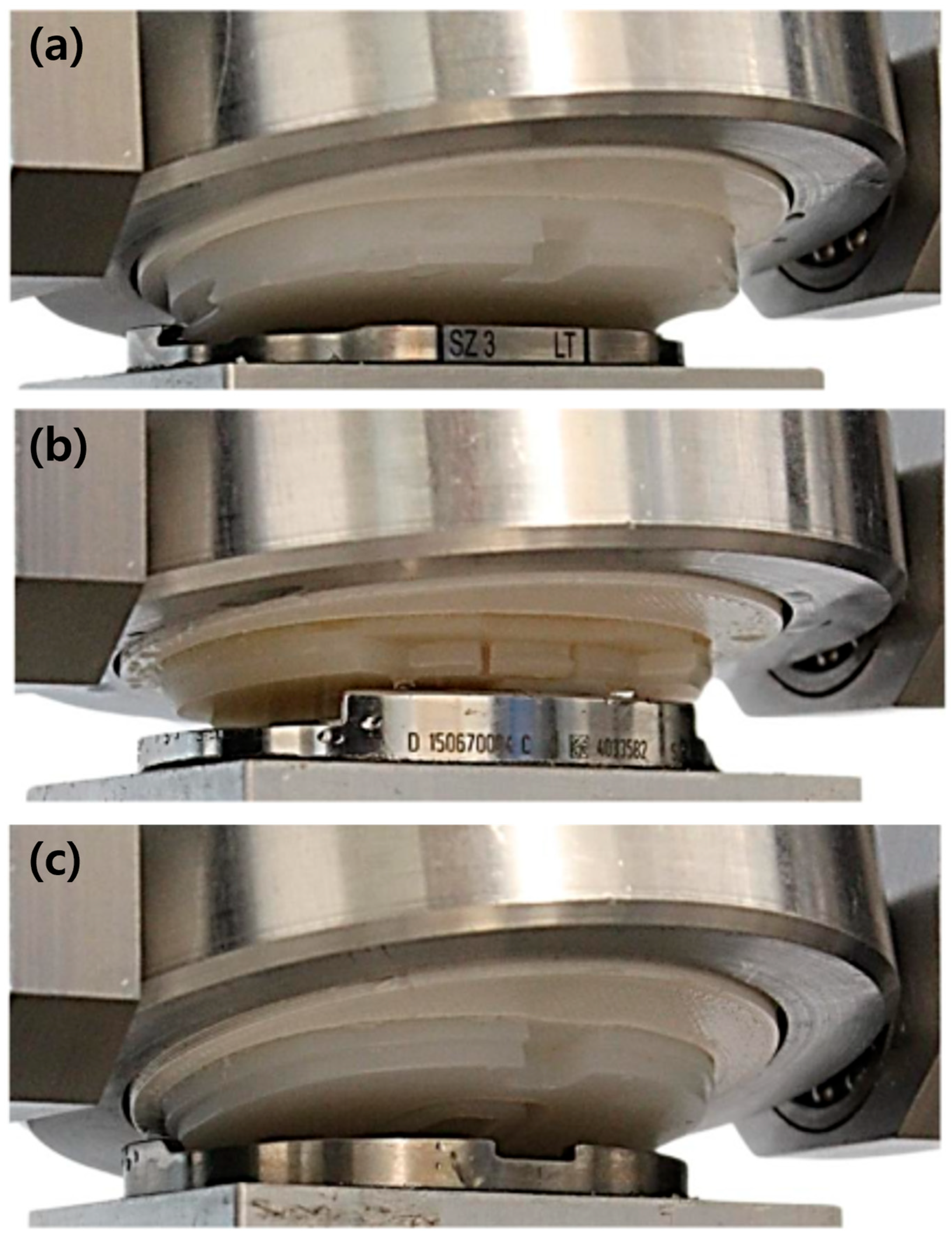 Bioengineering 12 00169 g007