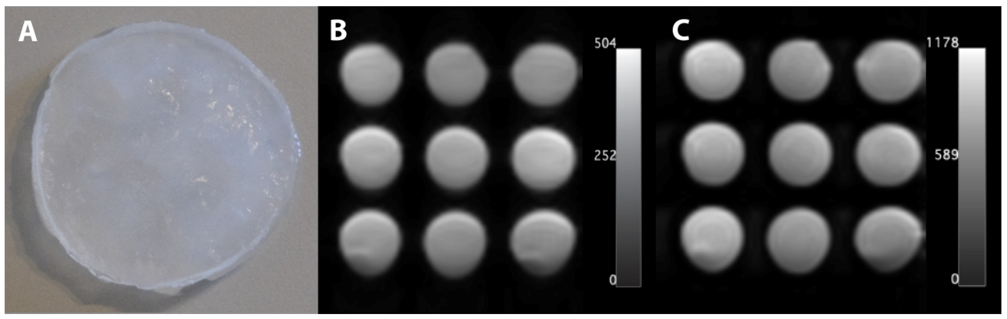 Bioengineering 12 00171 g001