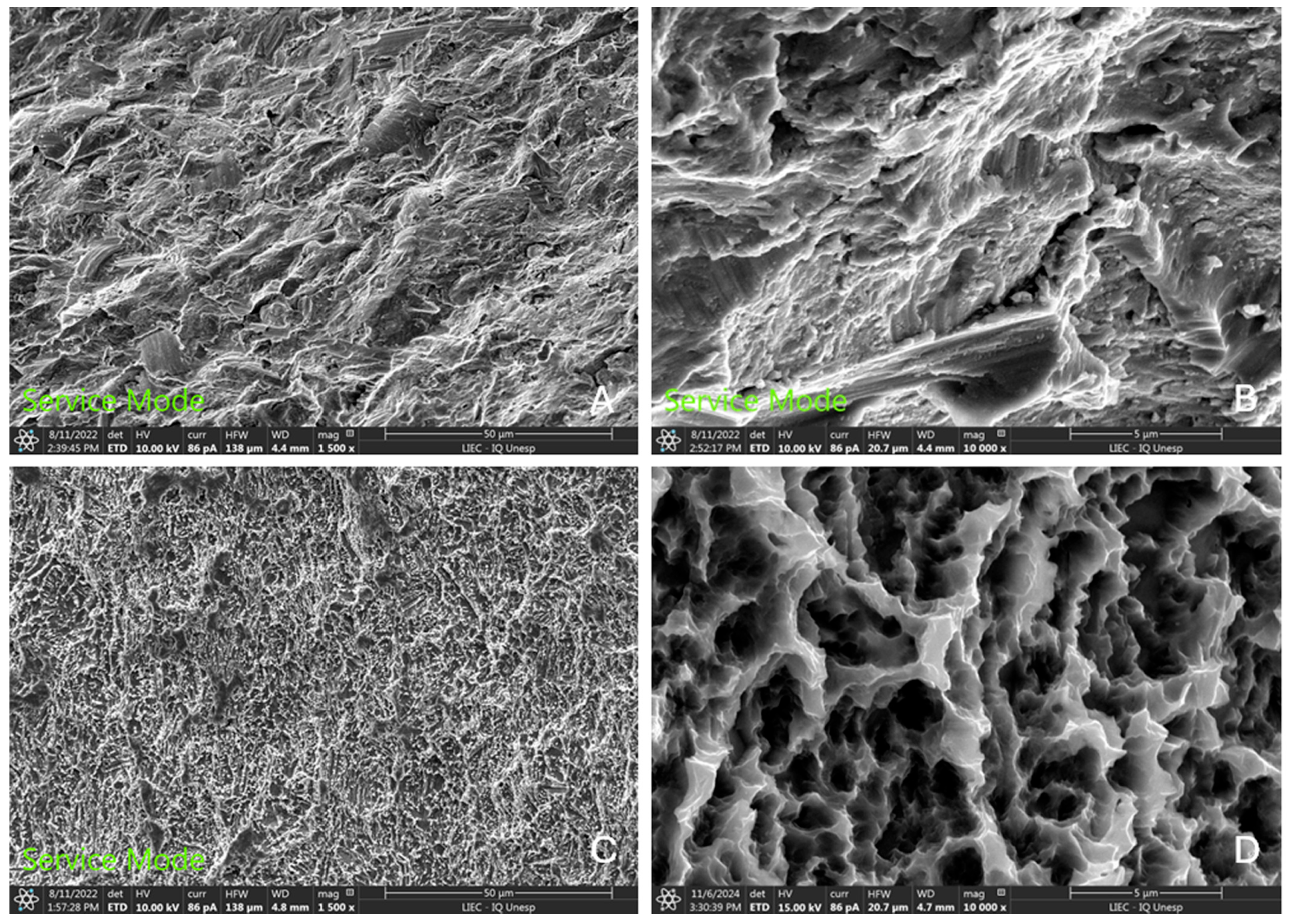 Bioengineering 12 00175 g008 Bioengineering 12 00175 g008