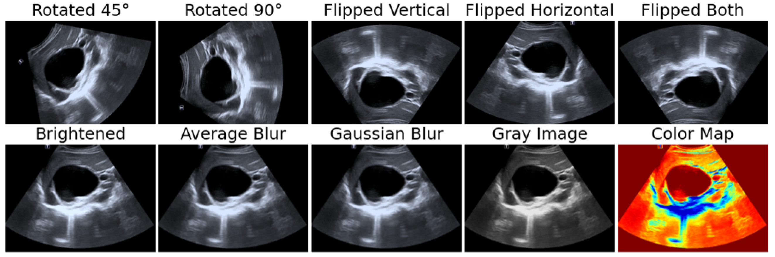Bioengineering 12 00181 g002