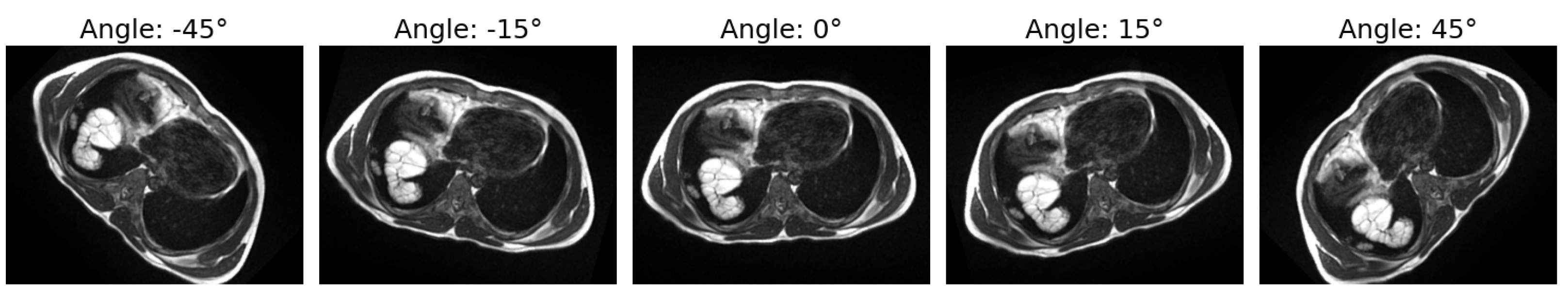 Bioengineering 12 00181 g003