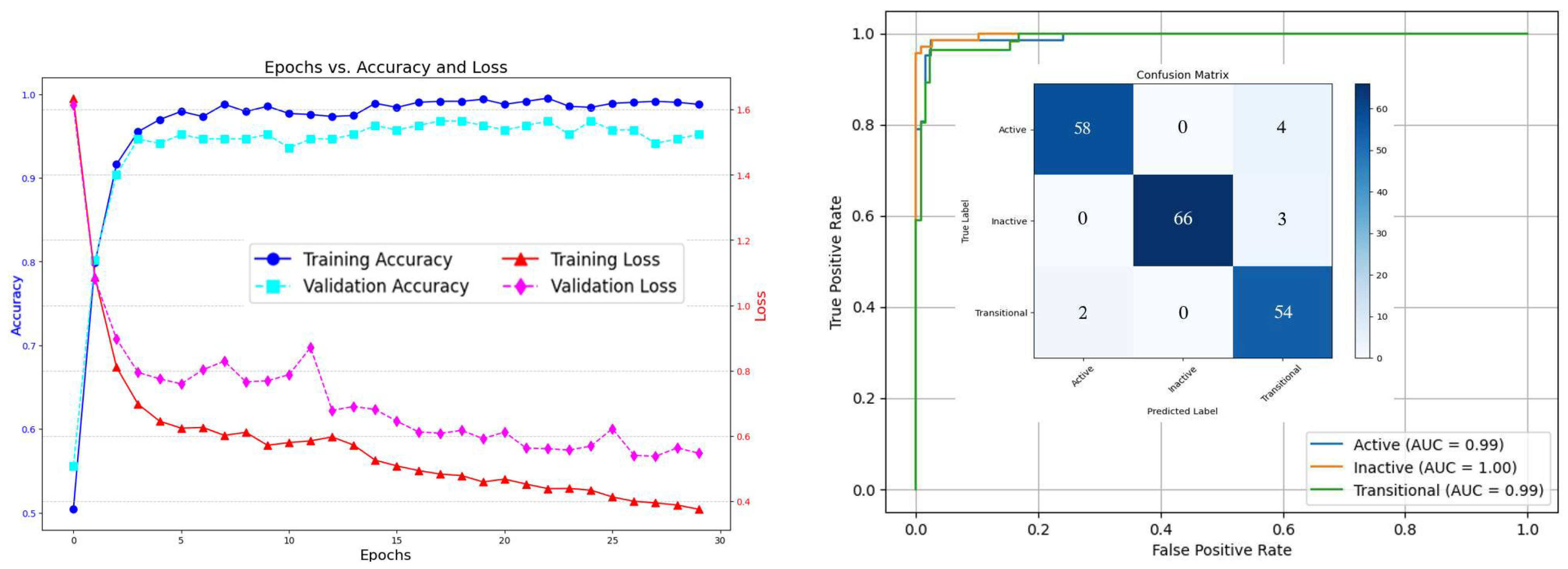 Bioengineering 12 00181 g005