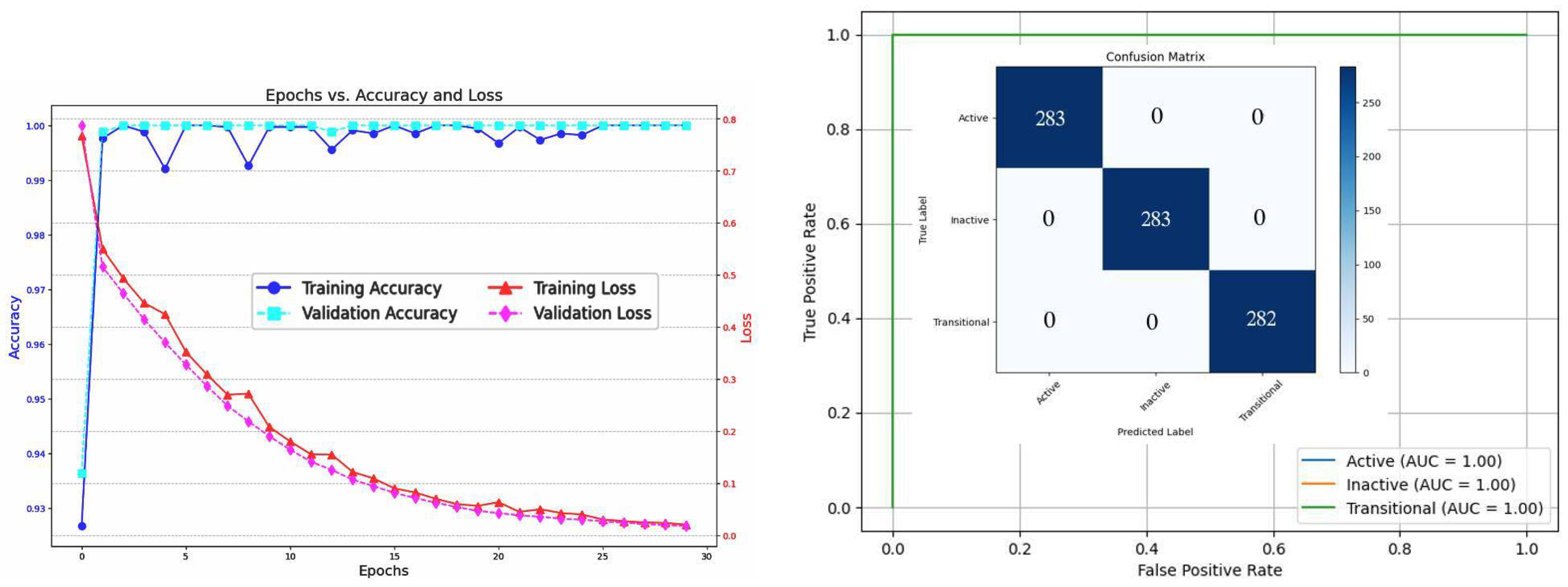 Bioengineering 12 00181 g006