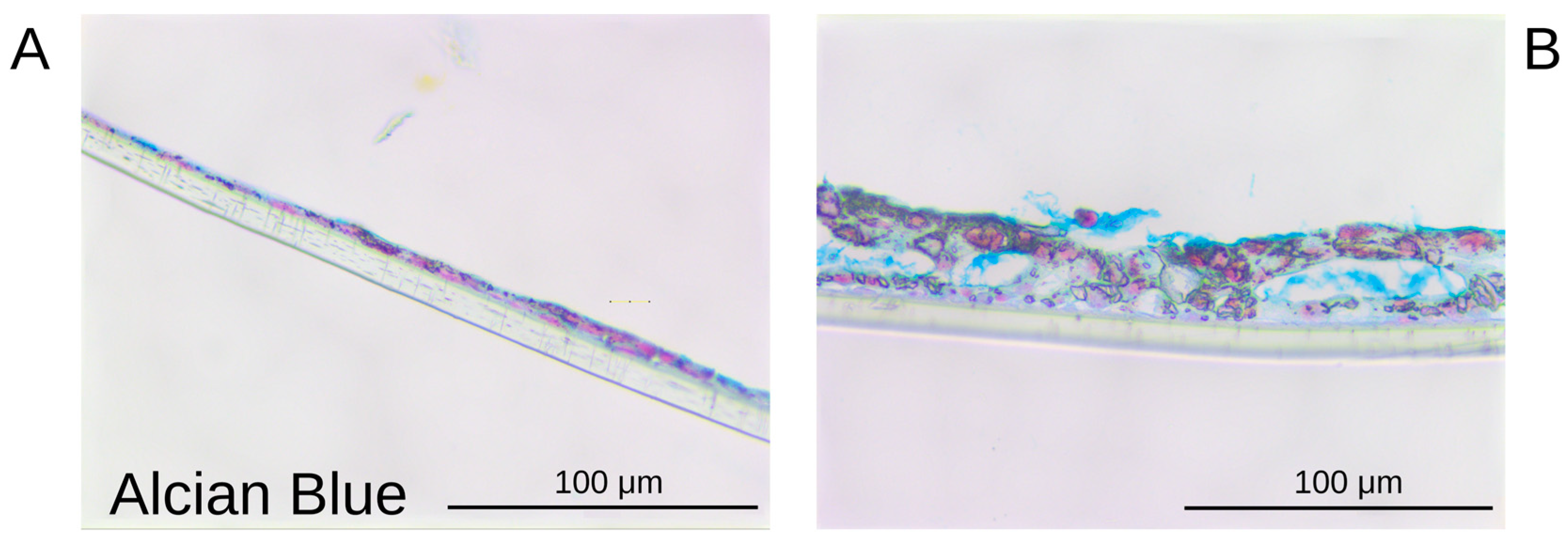 Bioengineering 12 00182 g006