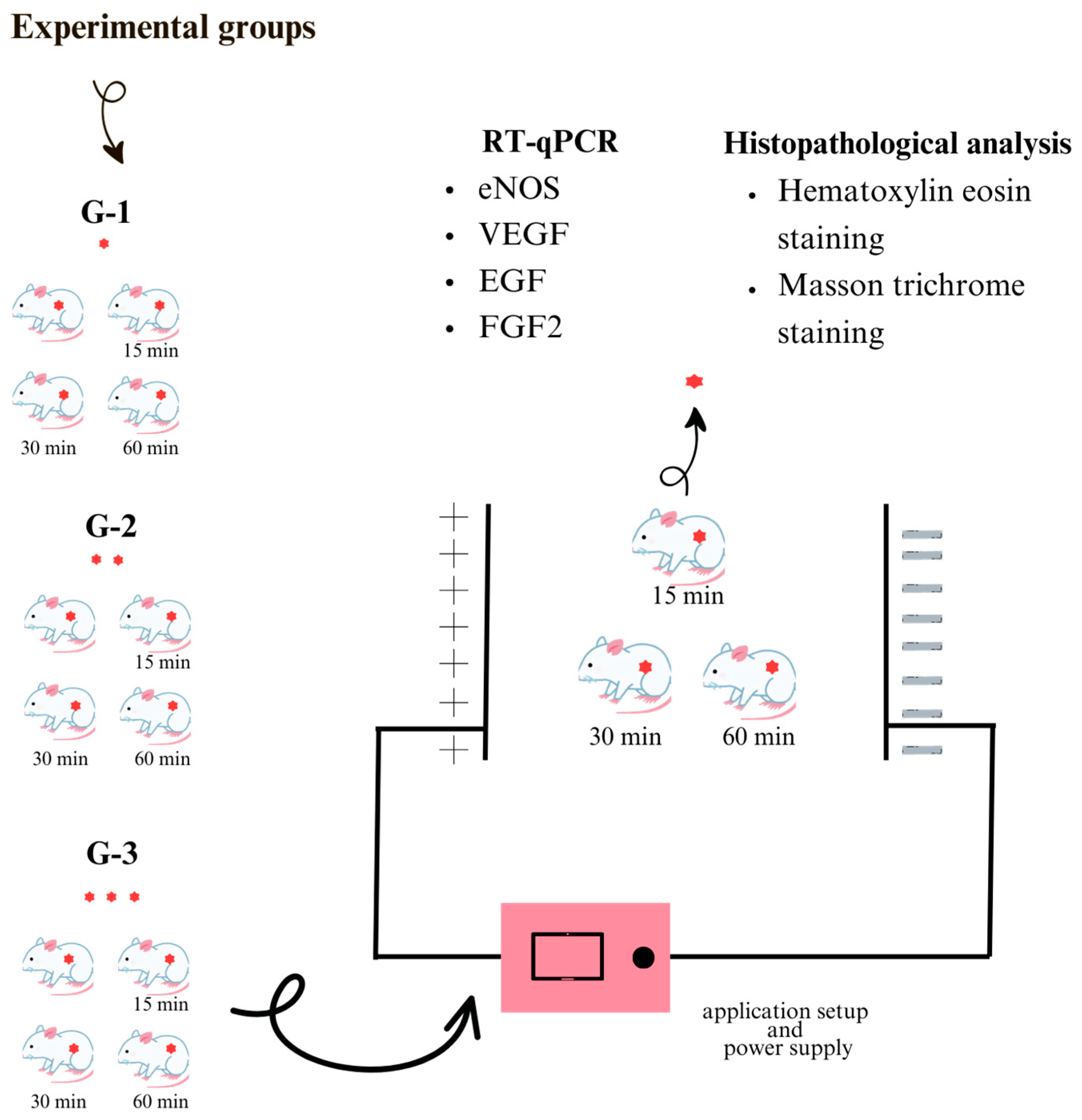Bioengineering 12 00183 g001