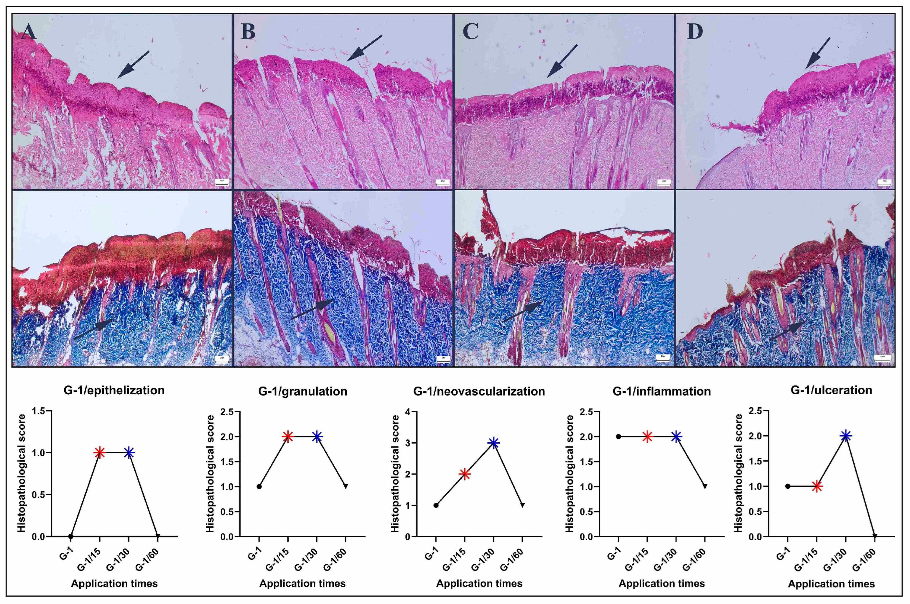 Bioengineering 12 00183 g003