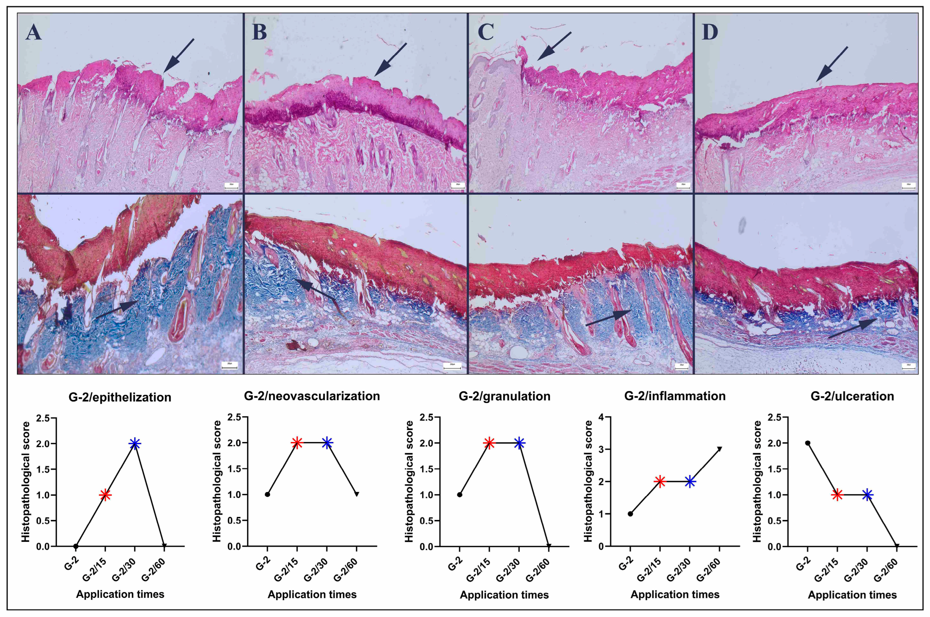 Bioengineering 12 00183 g004