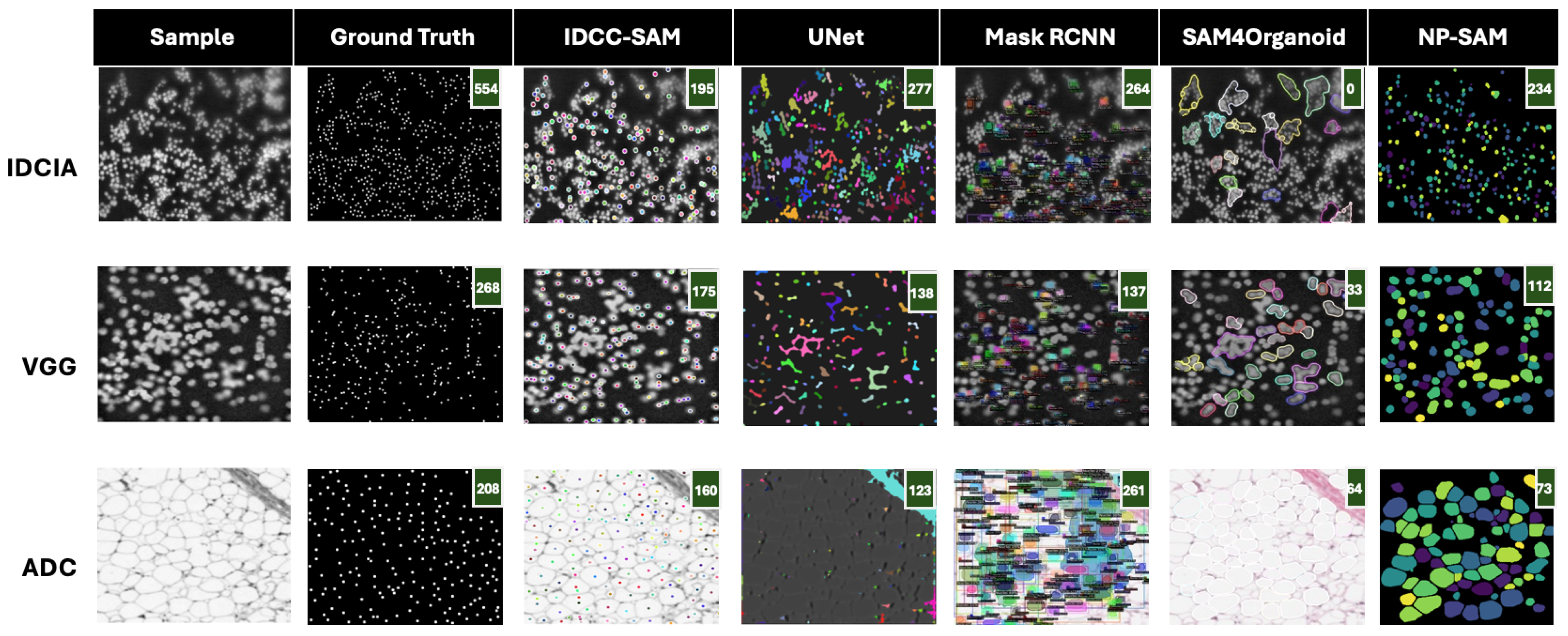 Bioengineering 12 00184 g005