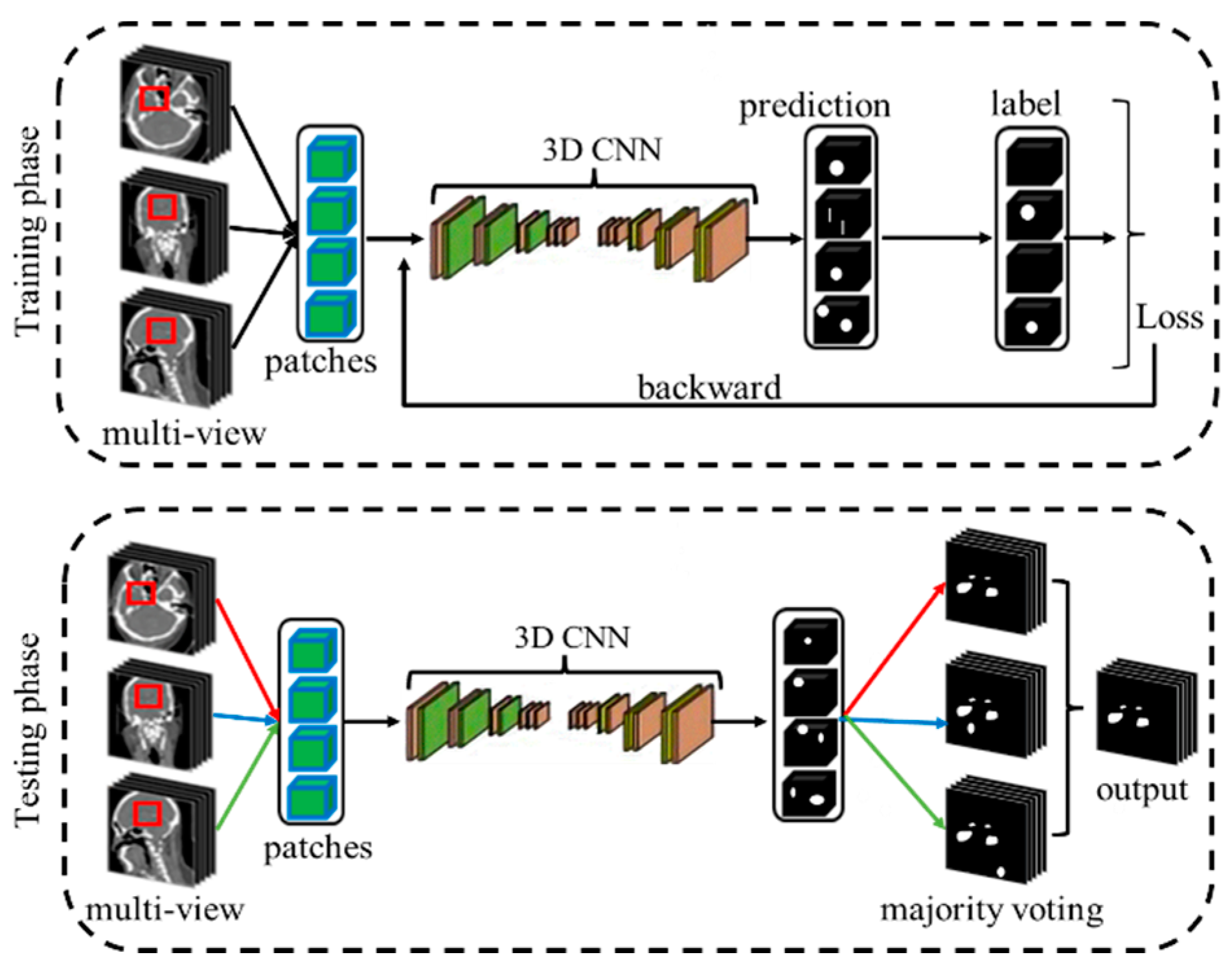 Bioengineering 12 00185 g001