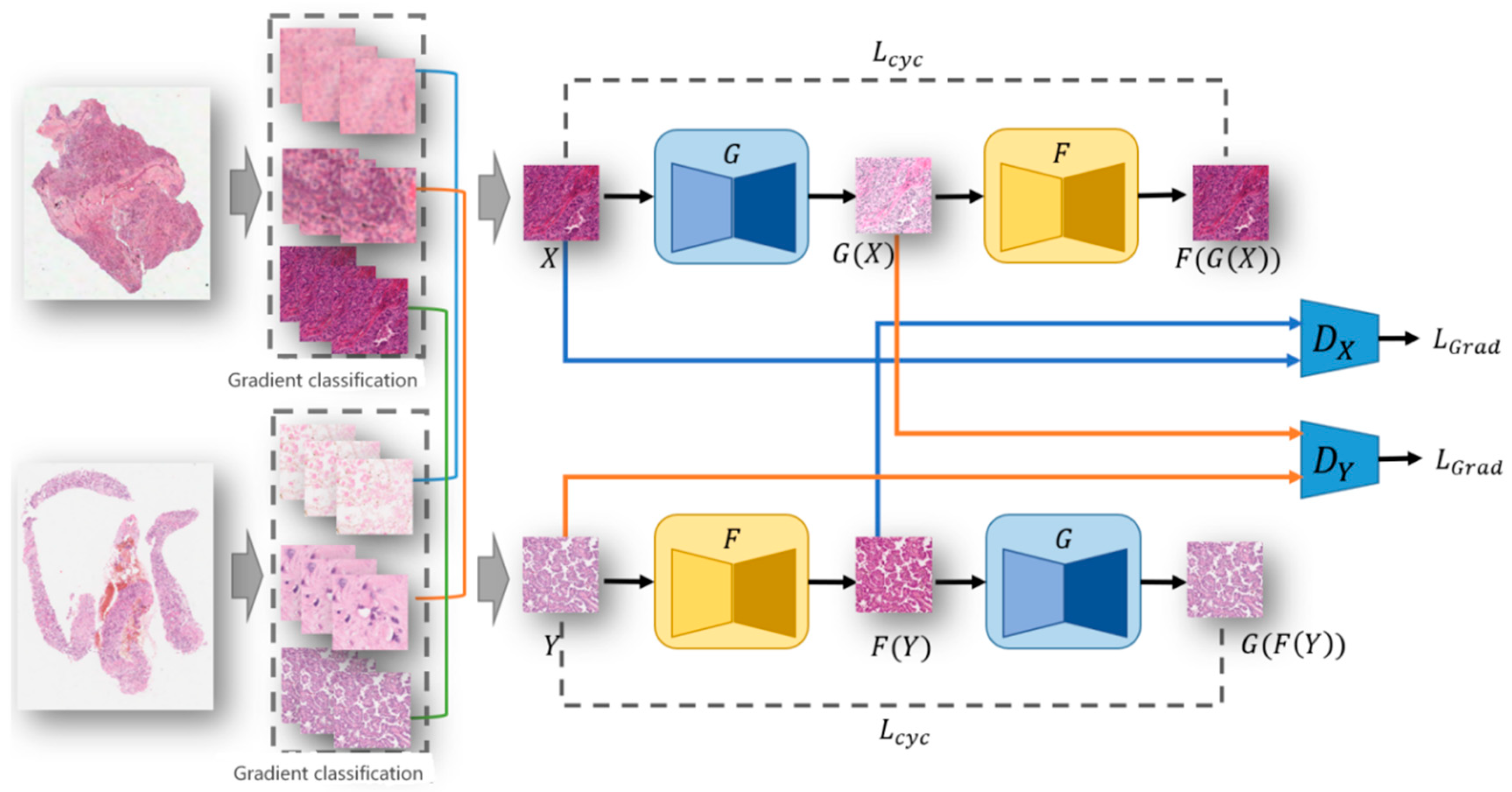 Bioengineering 12 00187 g002