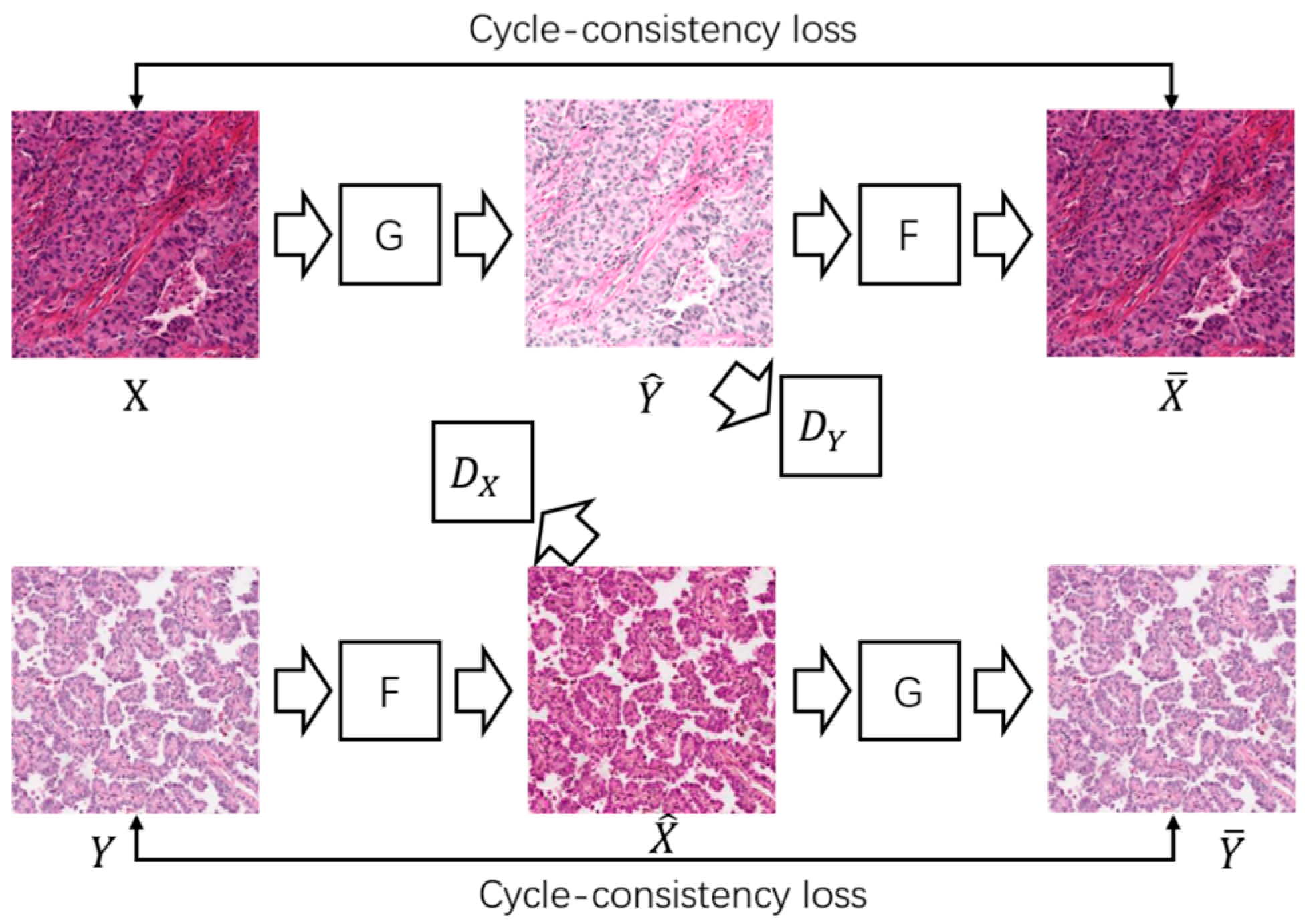 Bioengineering 12 00187 g003