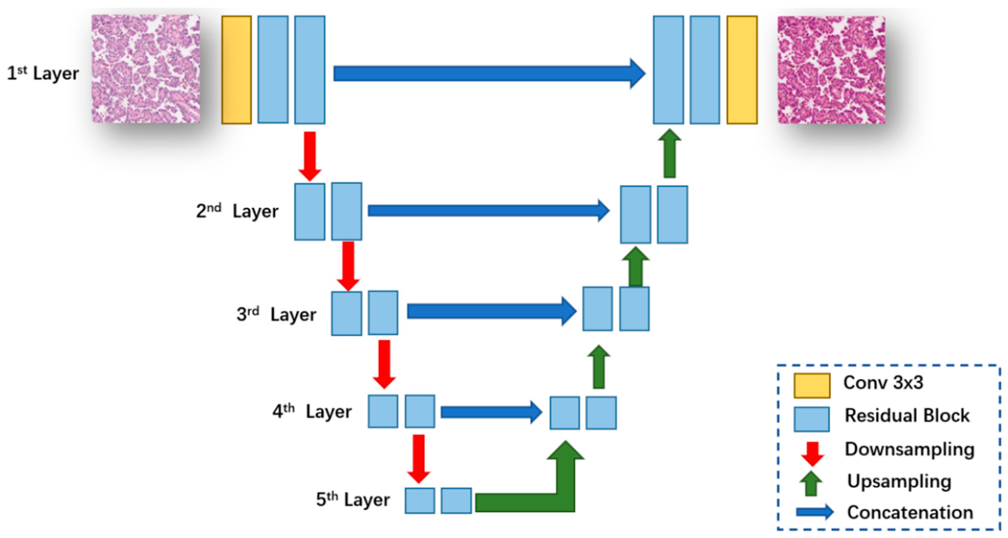 Bioengineering 12 00187 g004