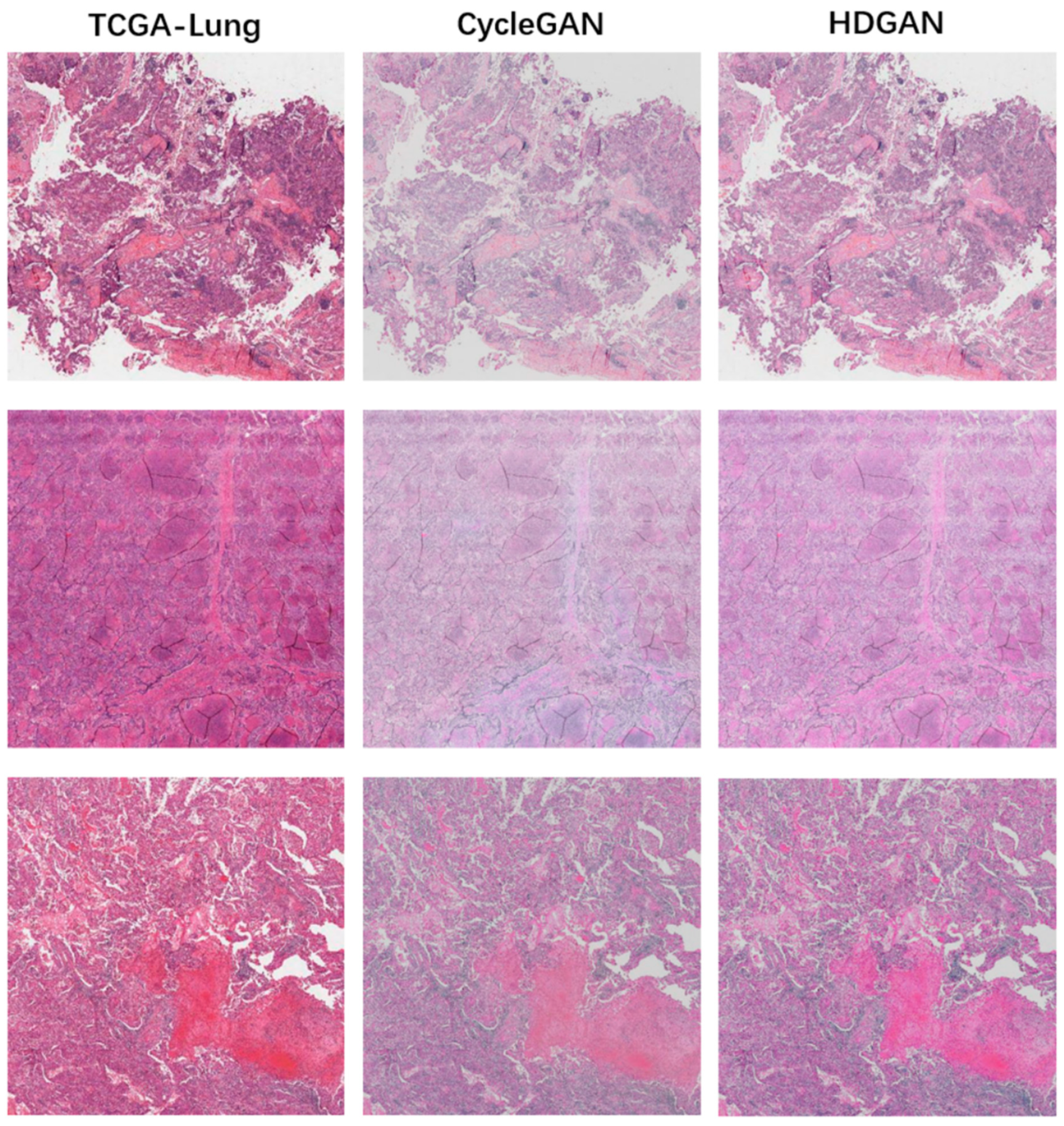 Bioengineering 12 00187 g006