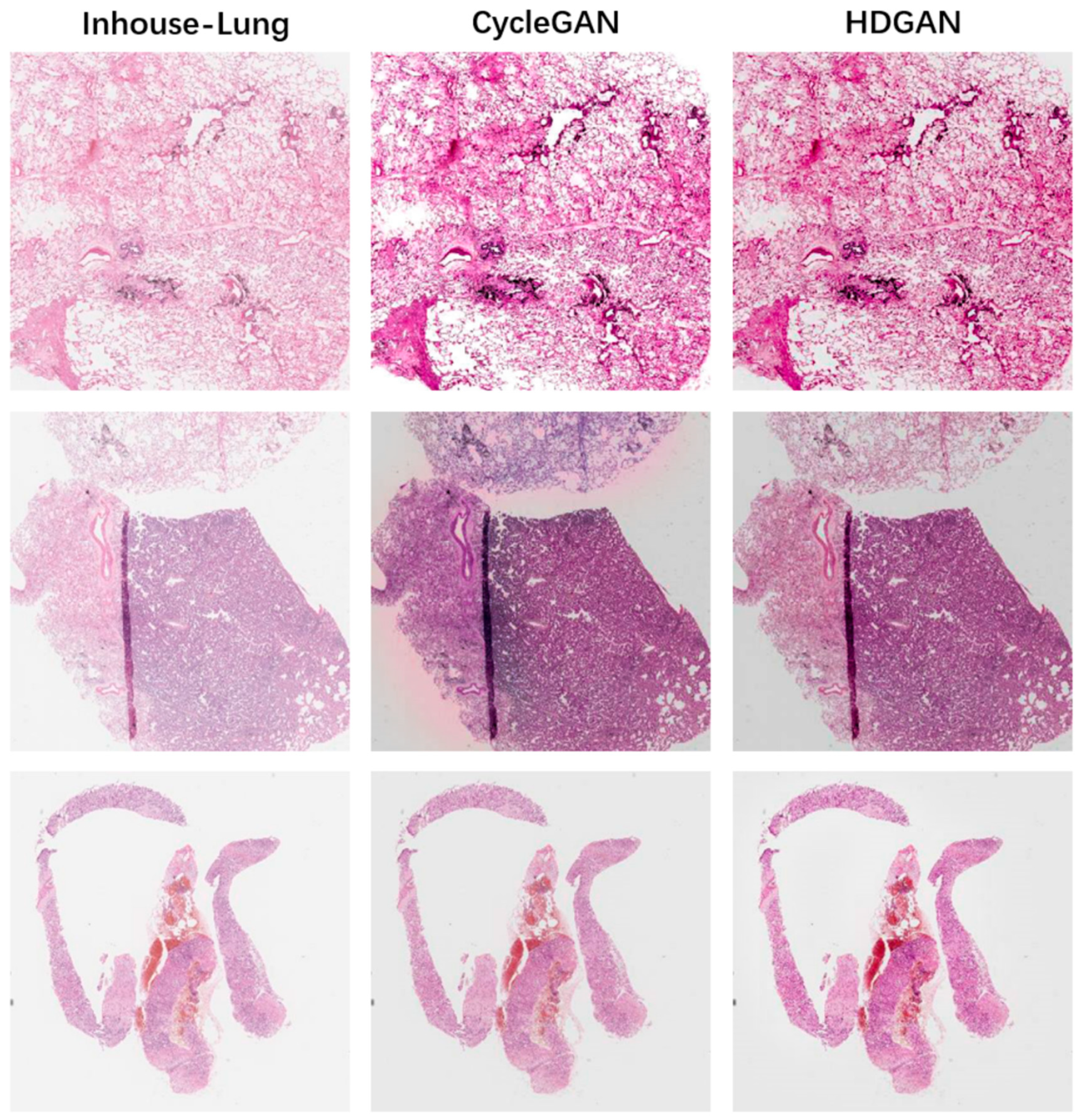 Bioengineering 12 00187 g007