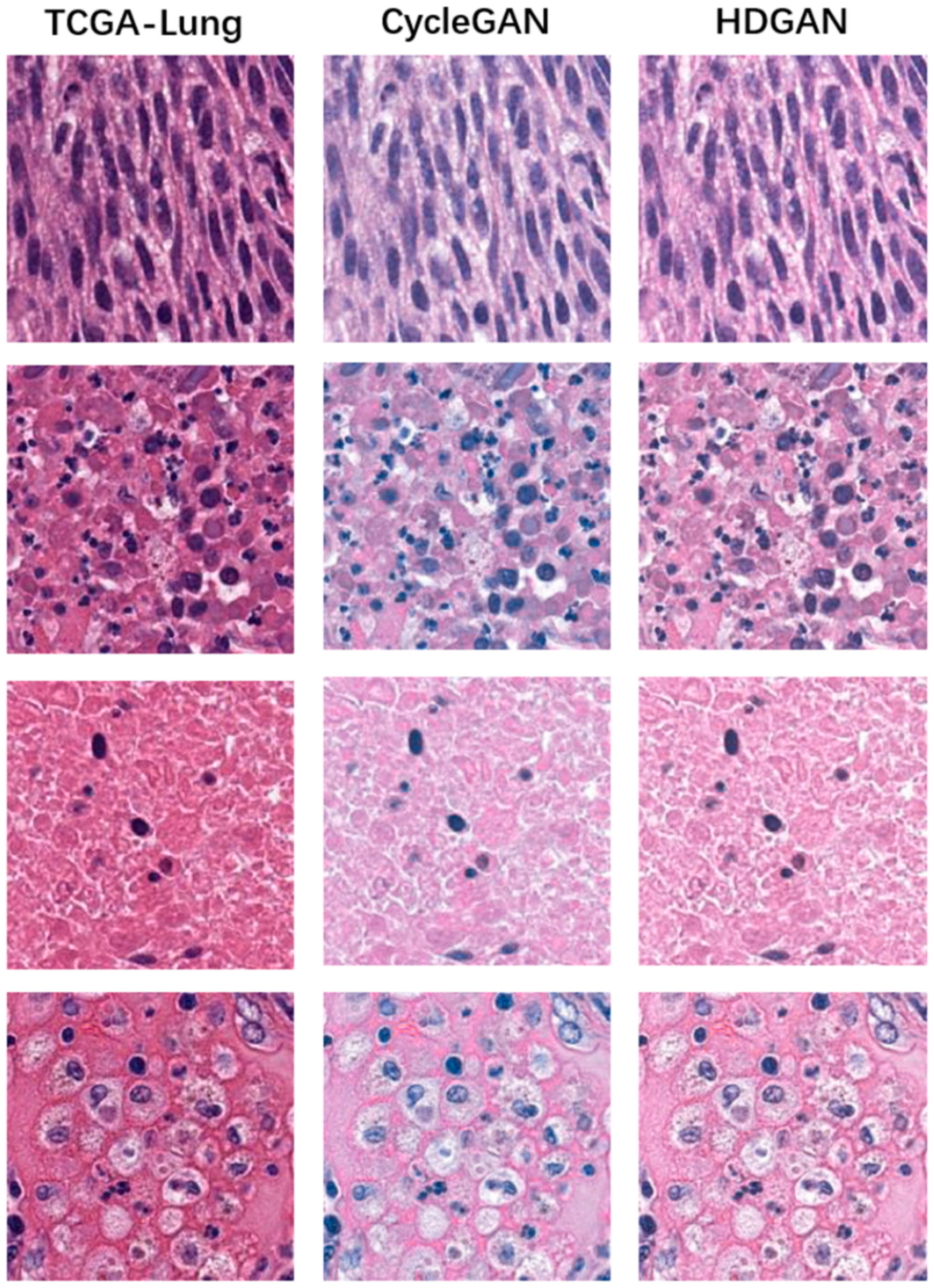Bioengineering 12 00187 g008