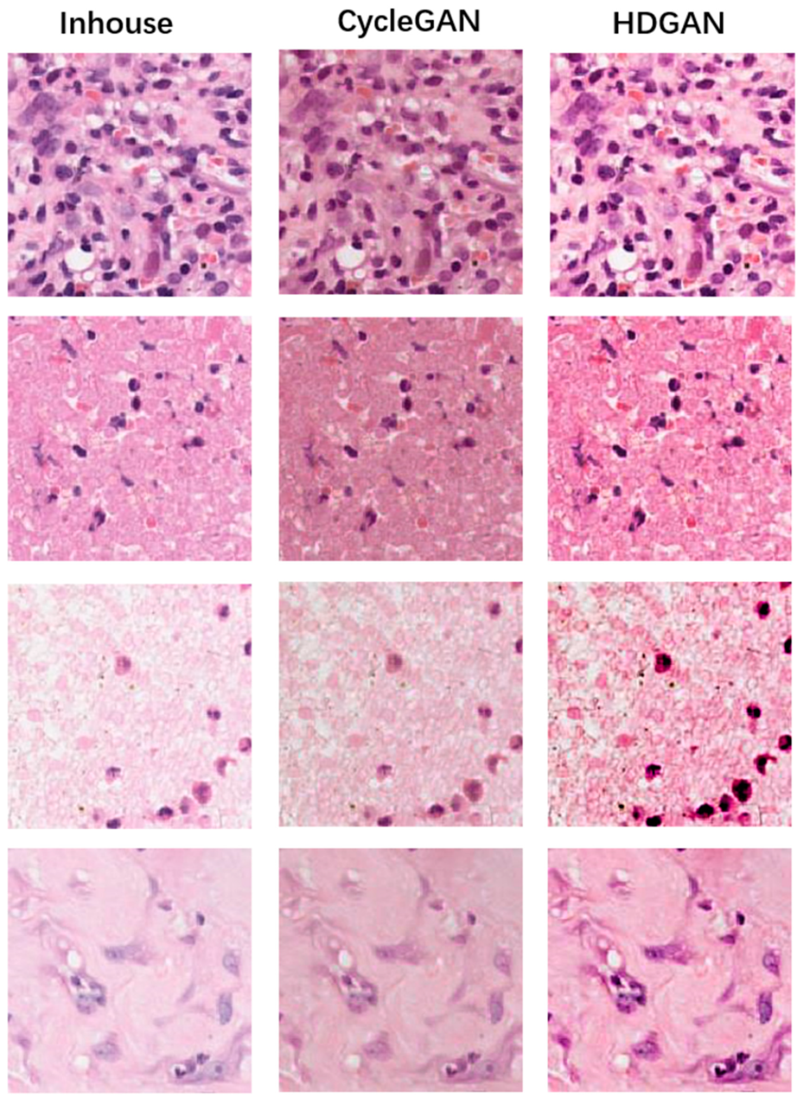Bioengineering 12 00187 g009