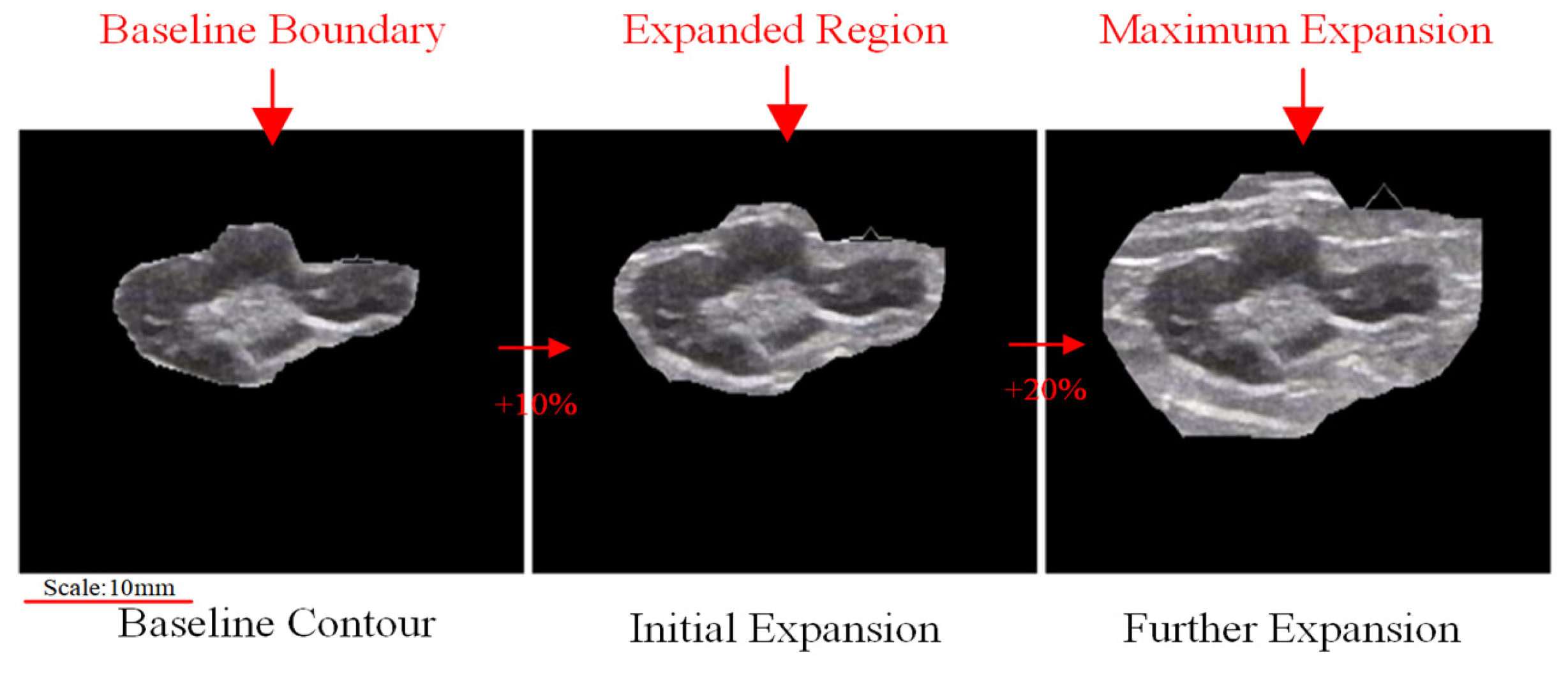 Bioengineering 12 00190 g006