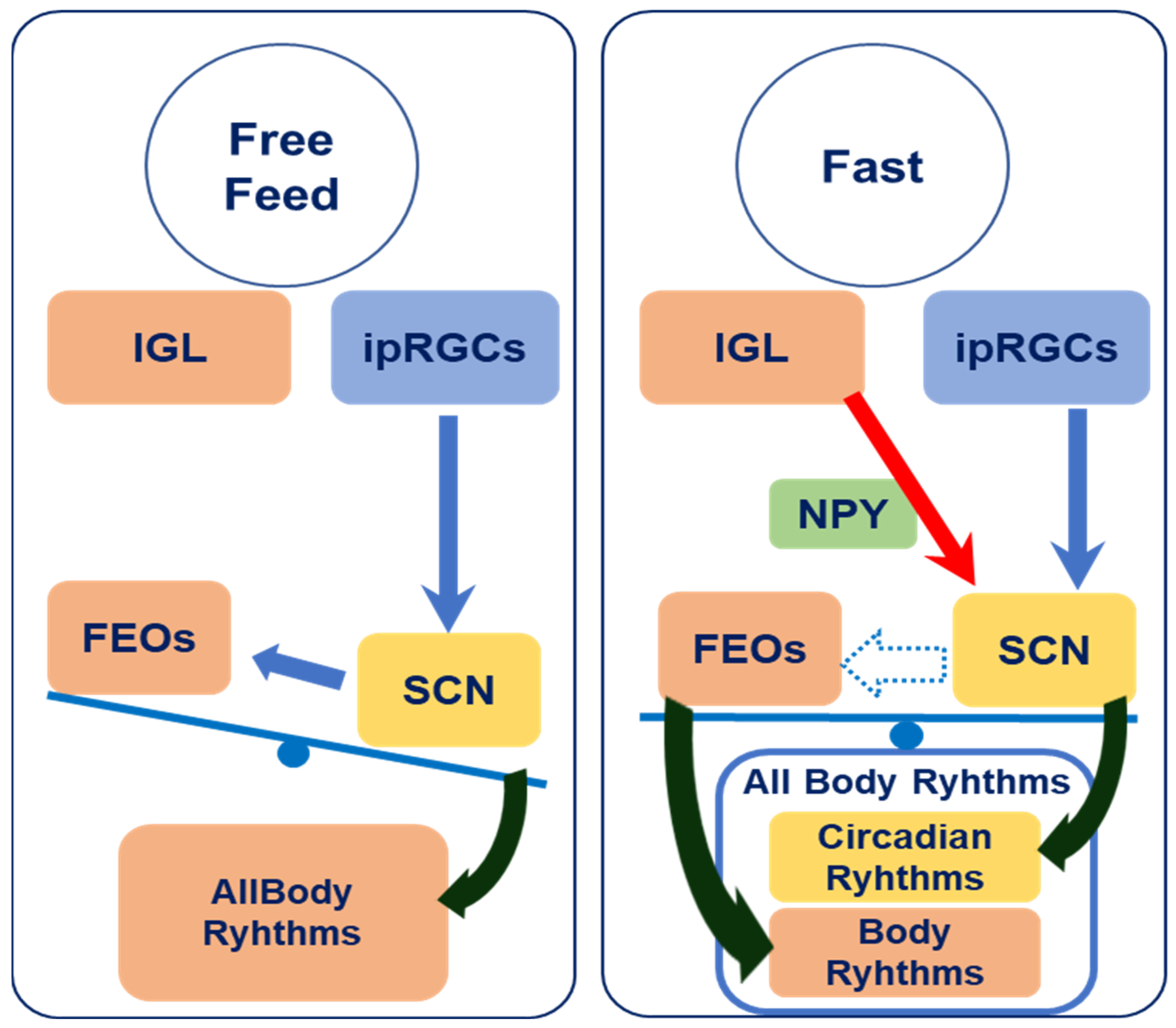 Bioengineering 12 00192 g004